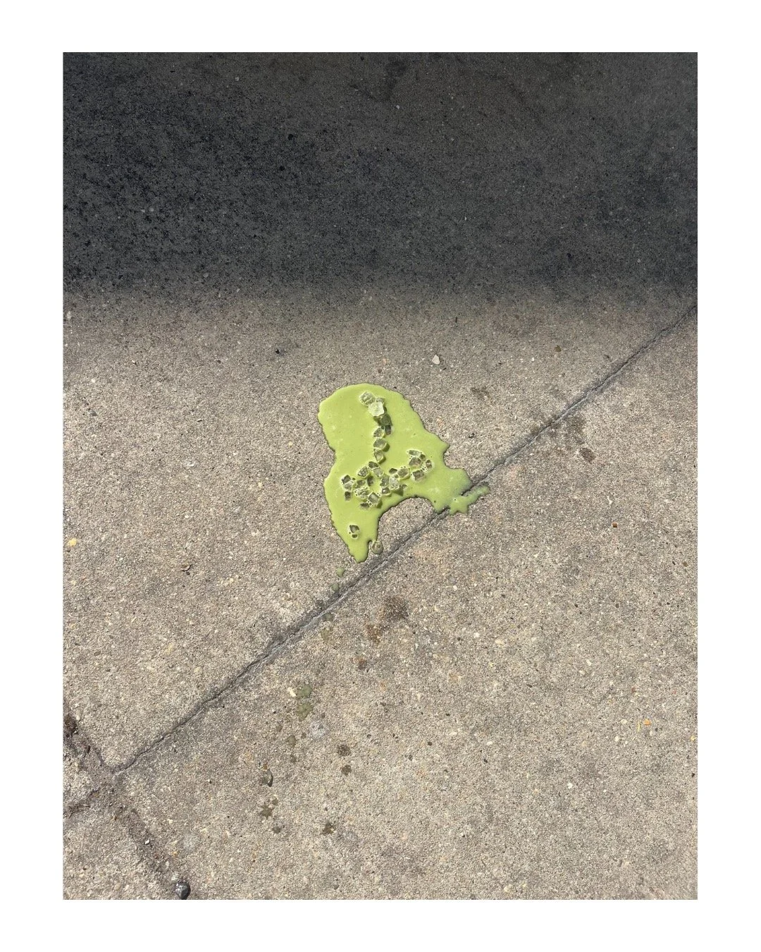 9.jpeg