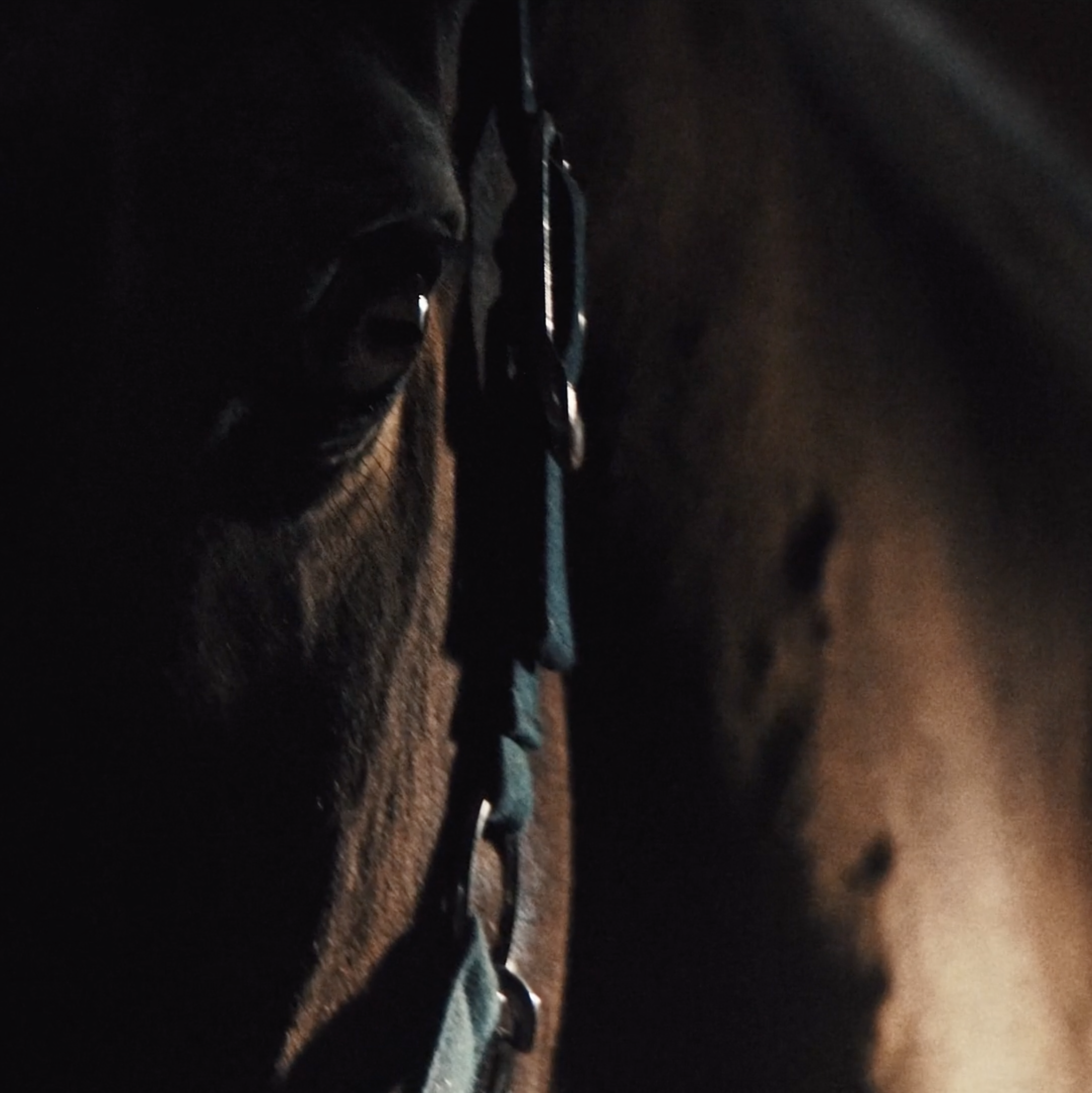 Scherm­afbeelding 2026-01-06 om 14.47.31.png