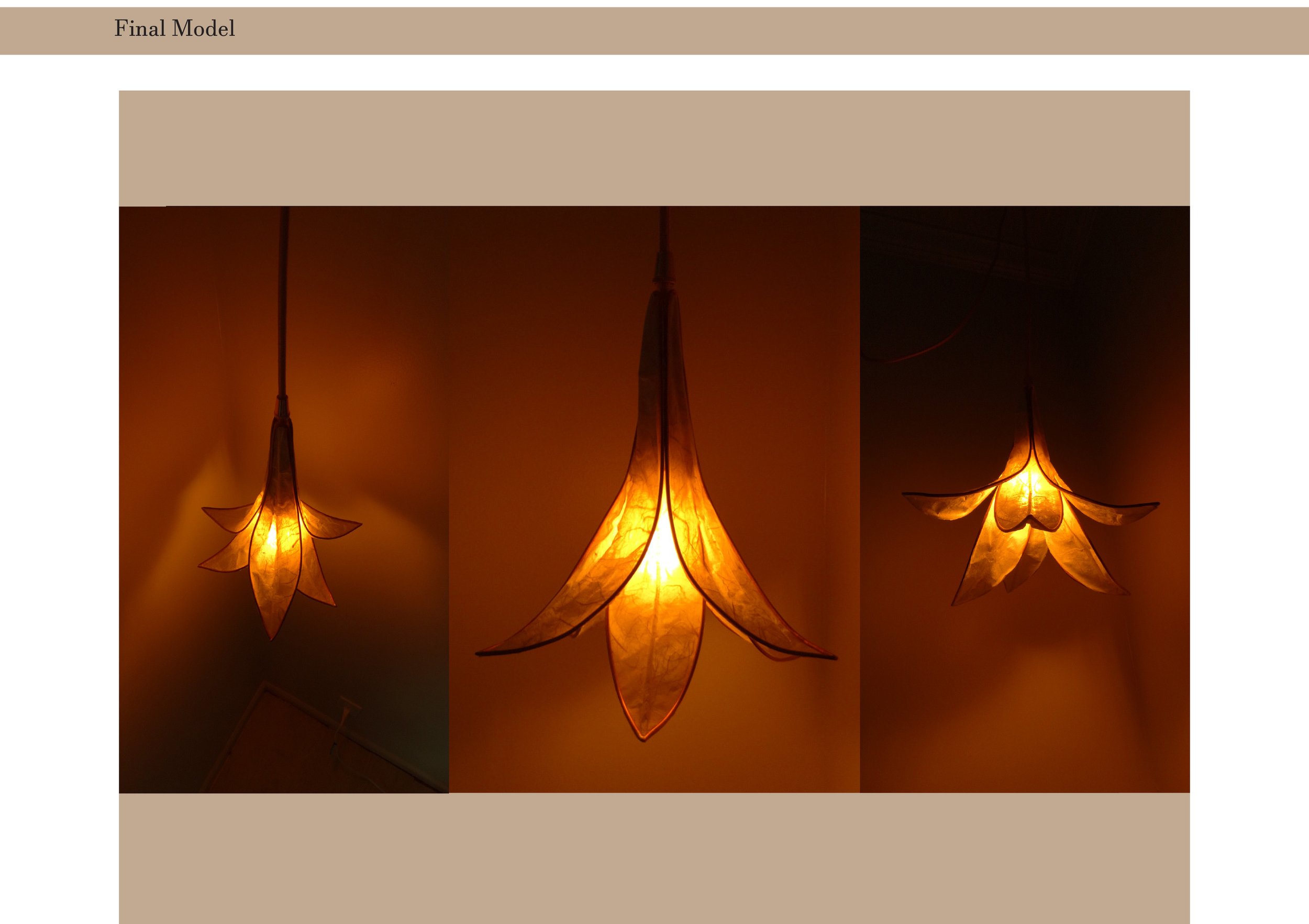 lily_light_process_book-12.jpg