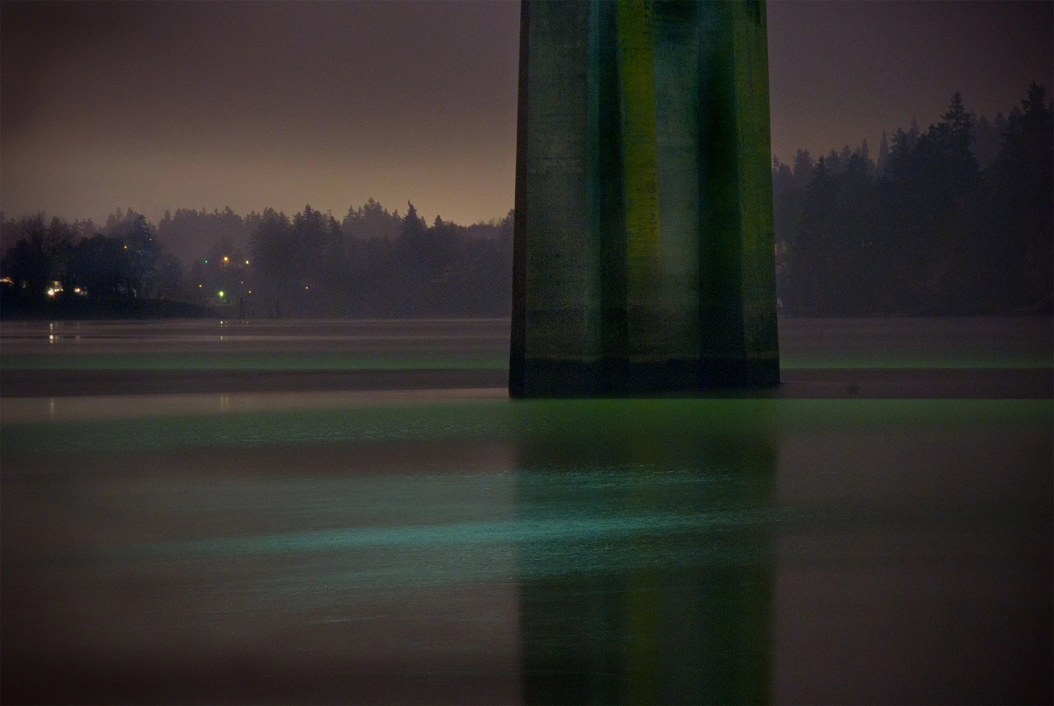 SellwoodPier.jpg