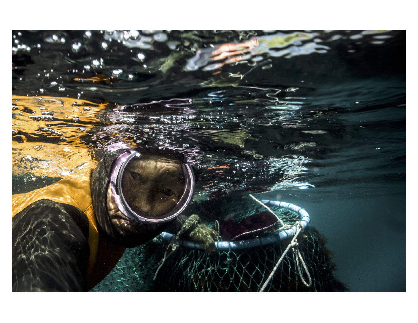 haenyo diving with net of shellfish