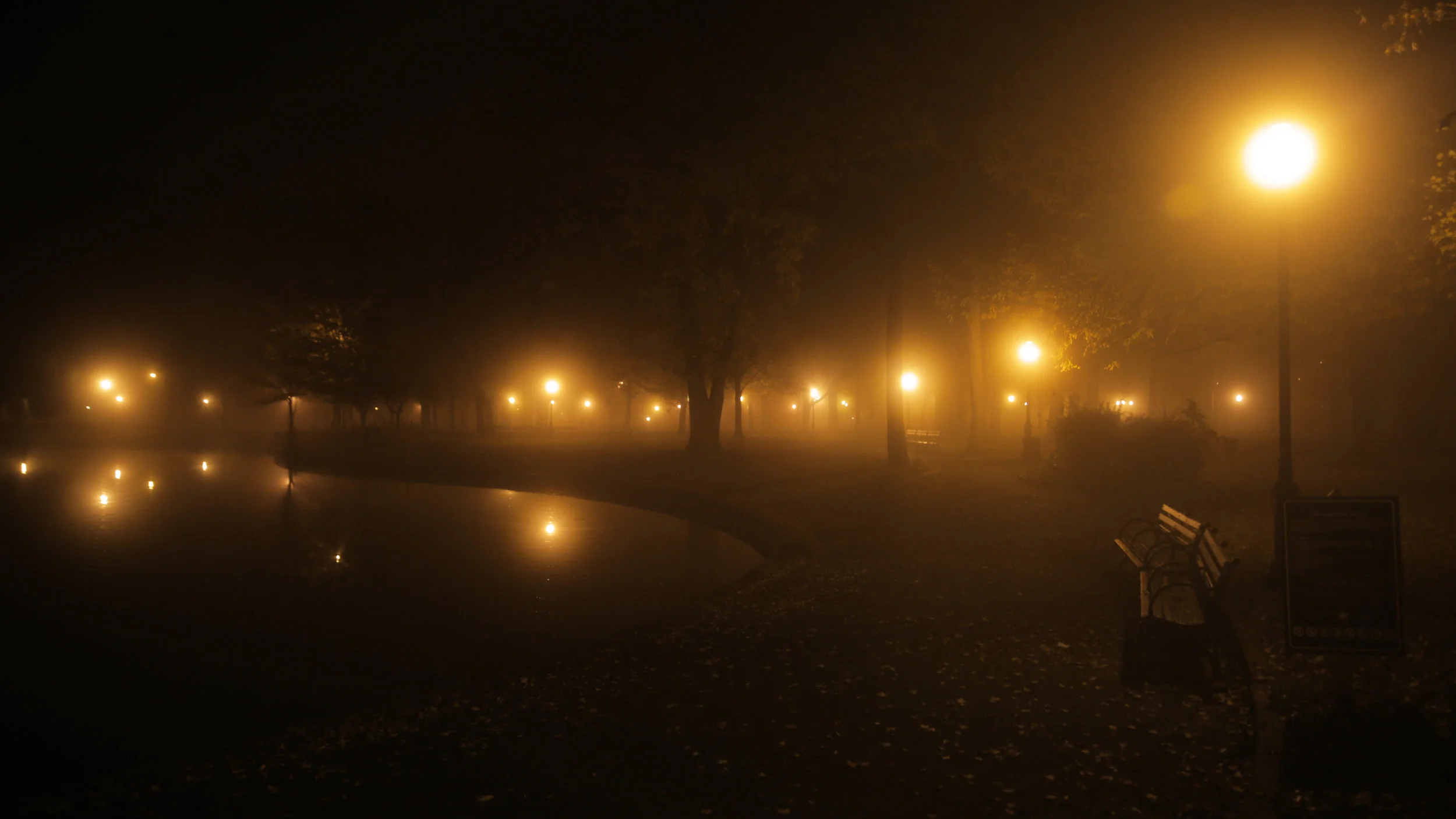 lights in park.jpg