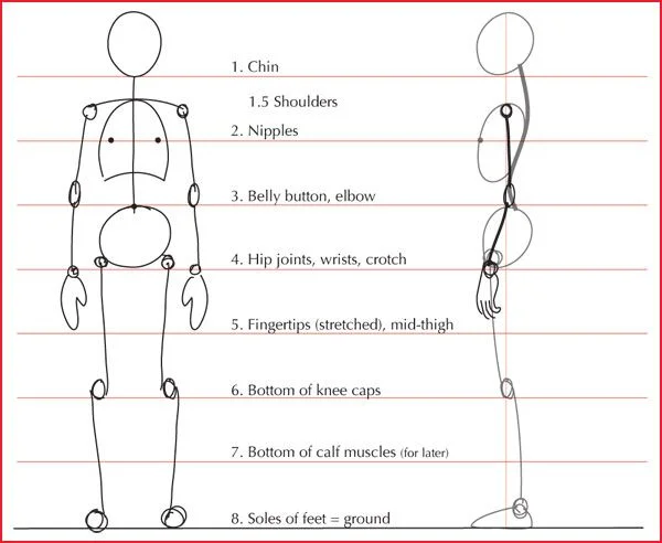 proportions july.jpg
