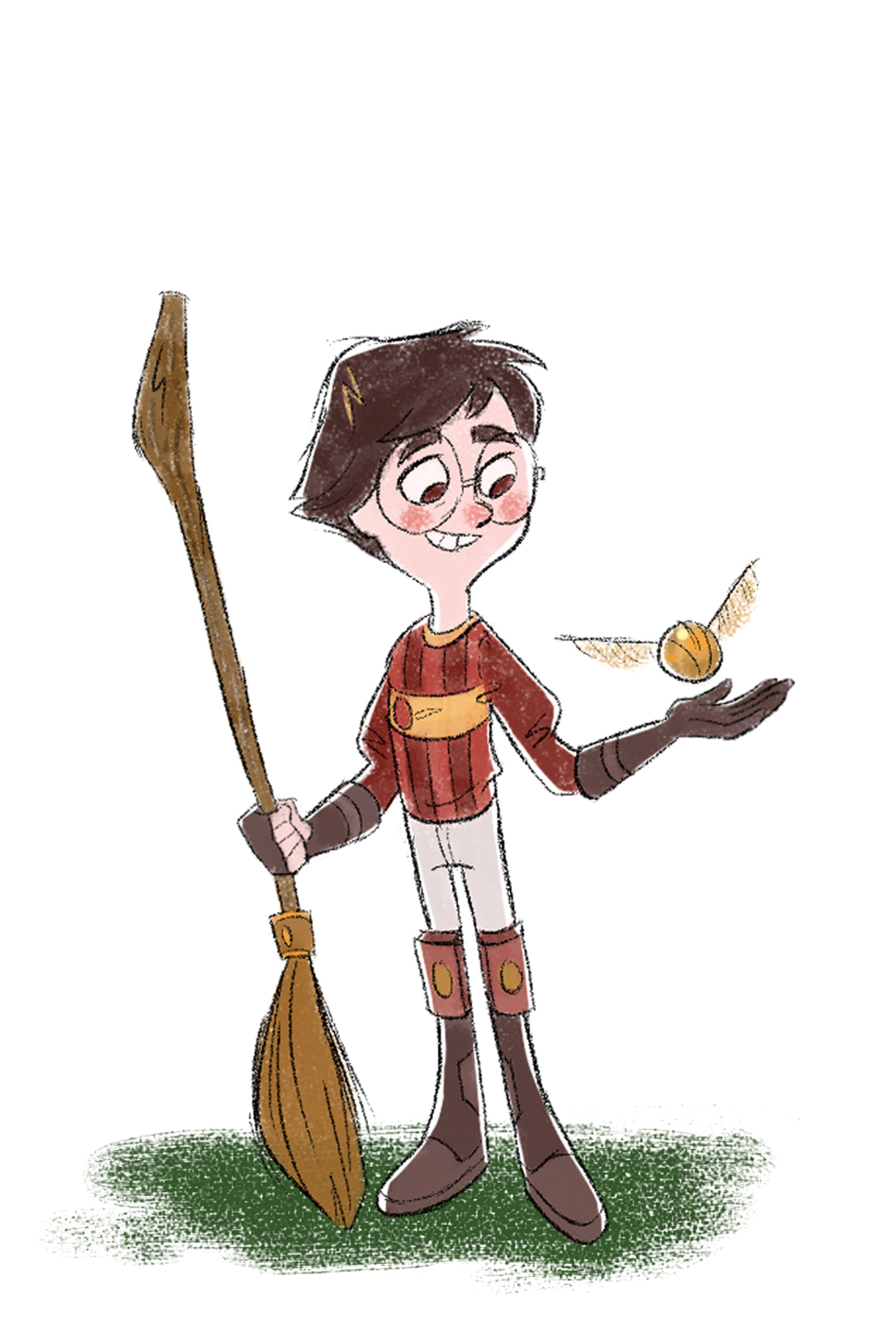 harry quidditch.jpg