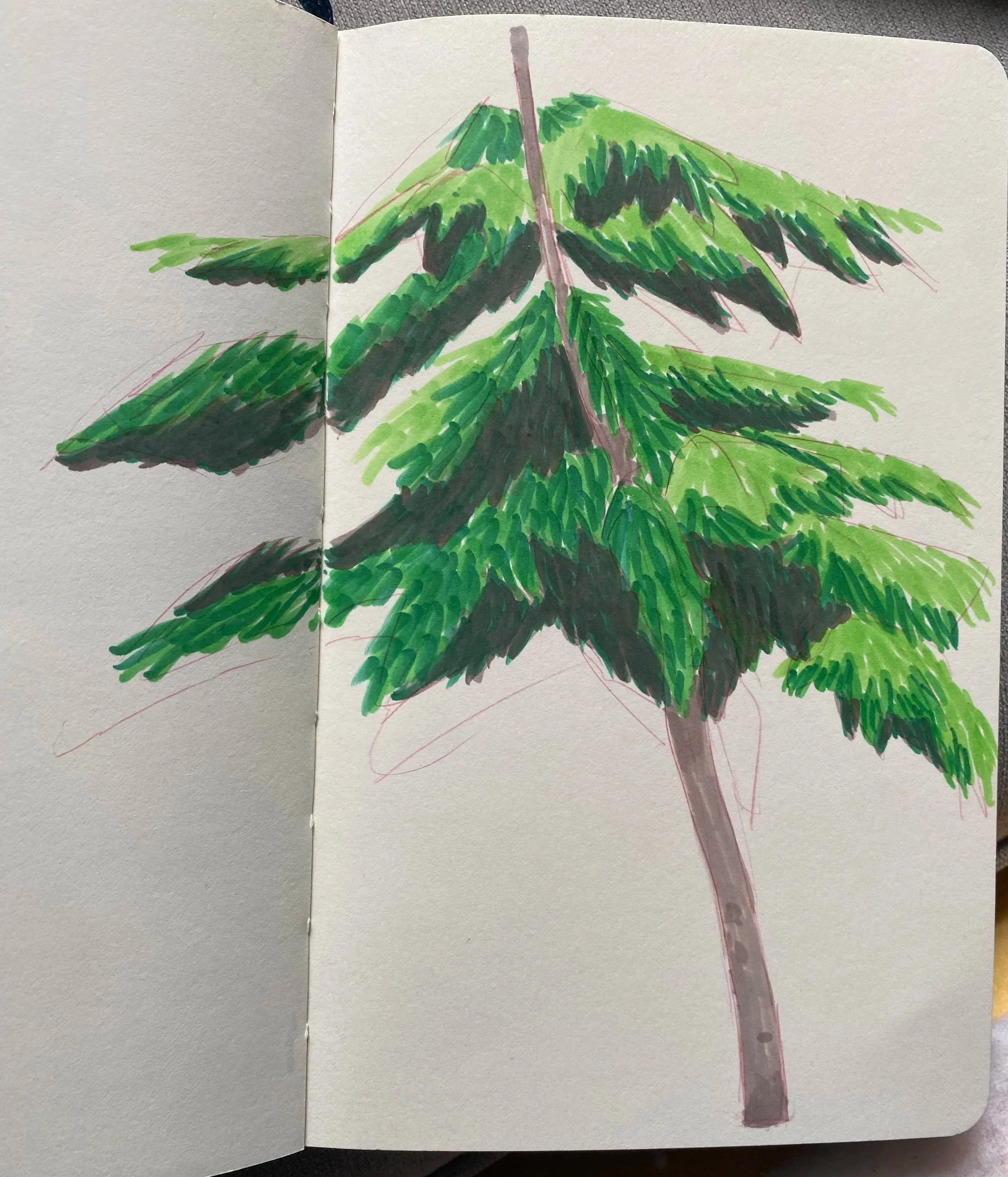 Tree in Mitcham - pencil and markers