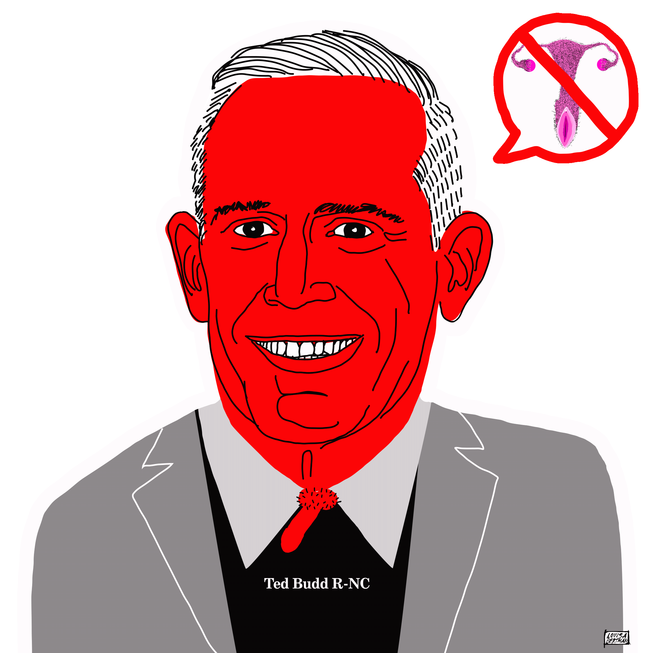 Ted_Budd_R-NC_US_Senate