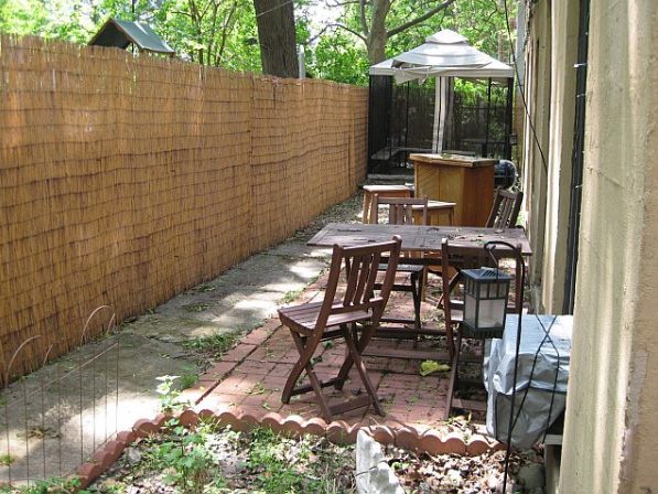 Yard.jpg
