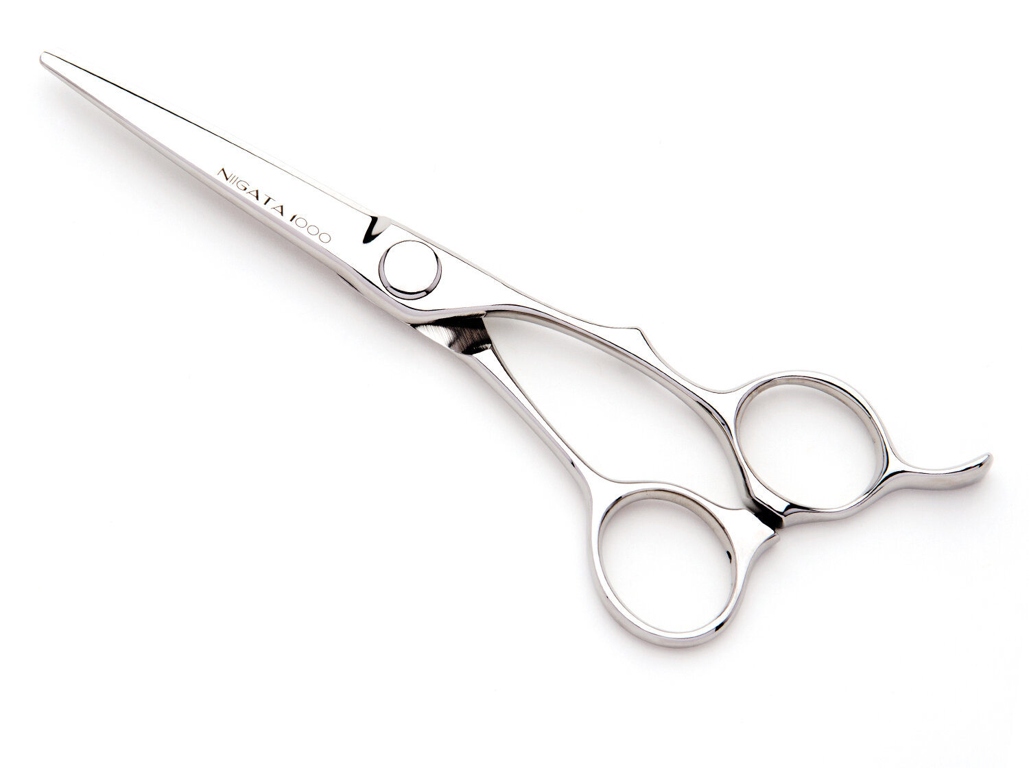 professional hair stylist scissors