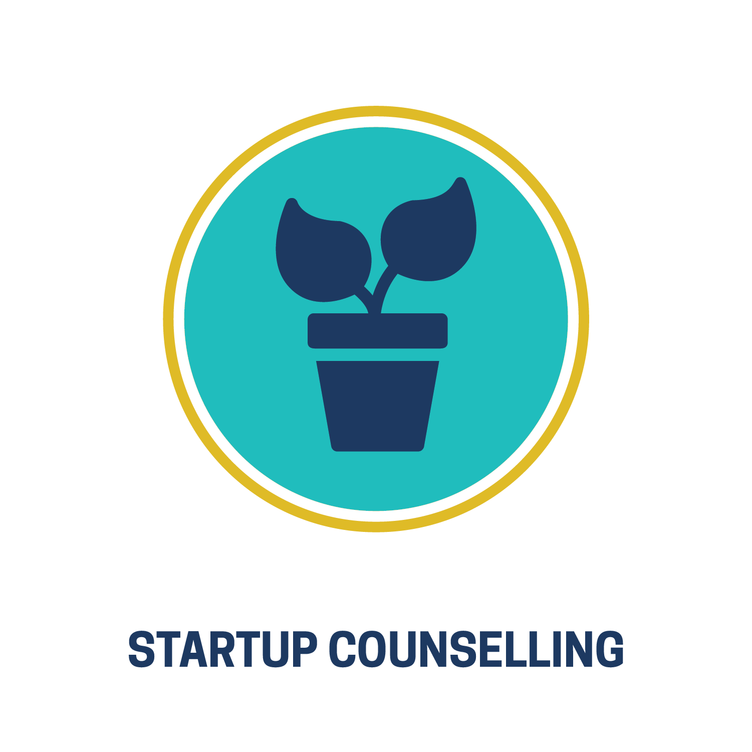 Icons_Startup Counselling.png