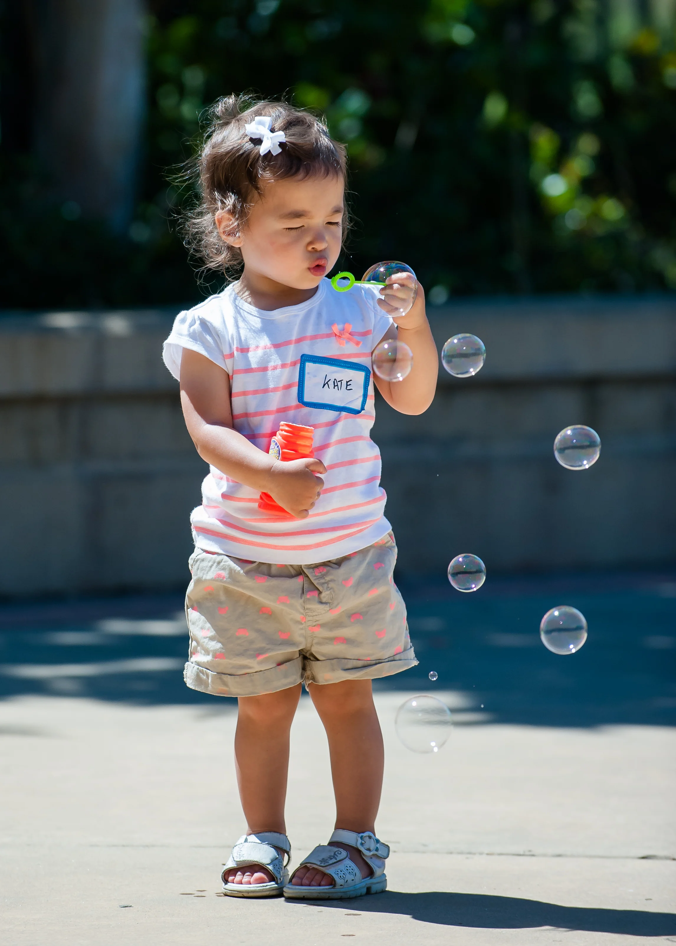 20140706_5154.jpg