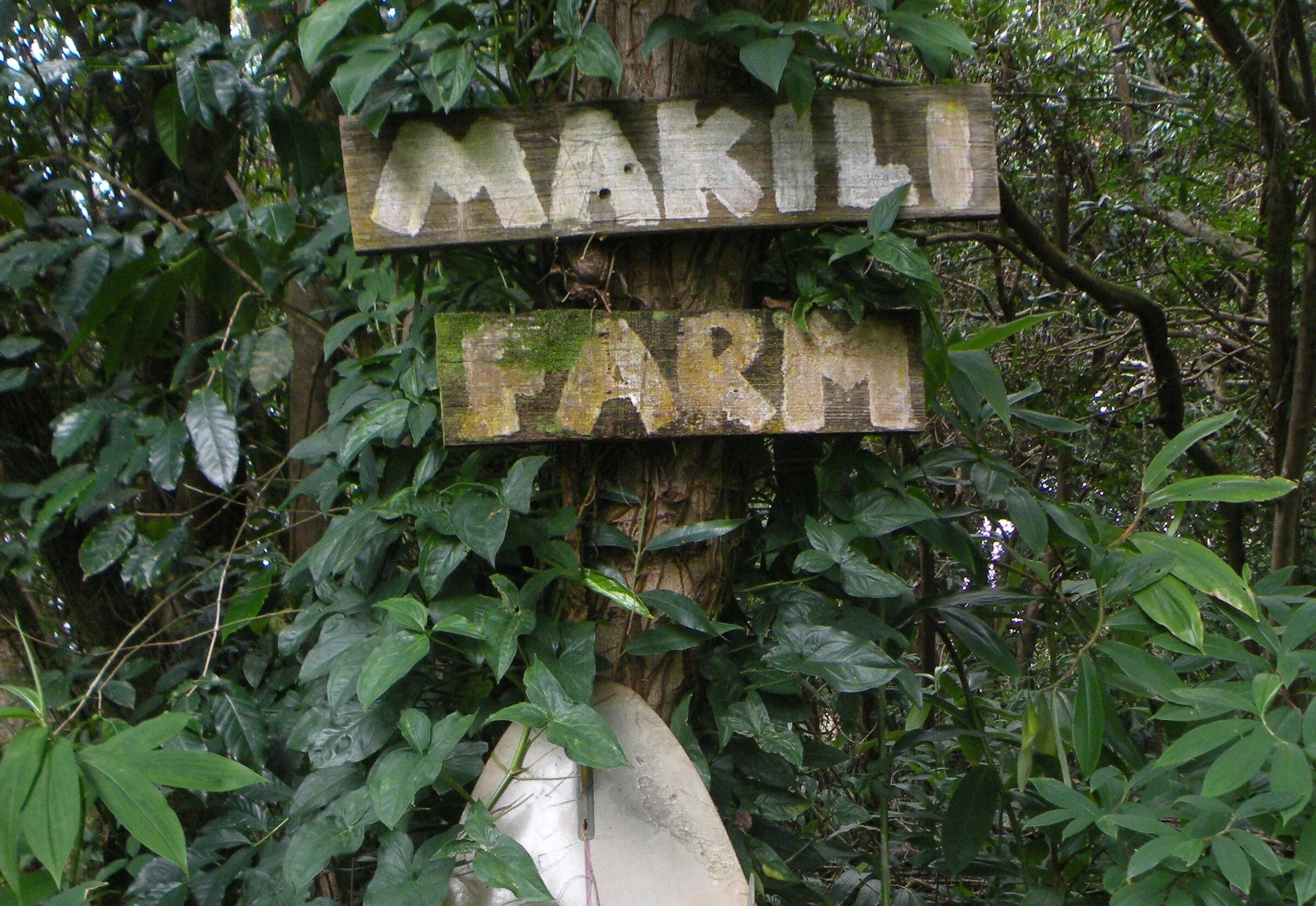 FARM SIGN 2.jpg