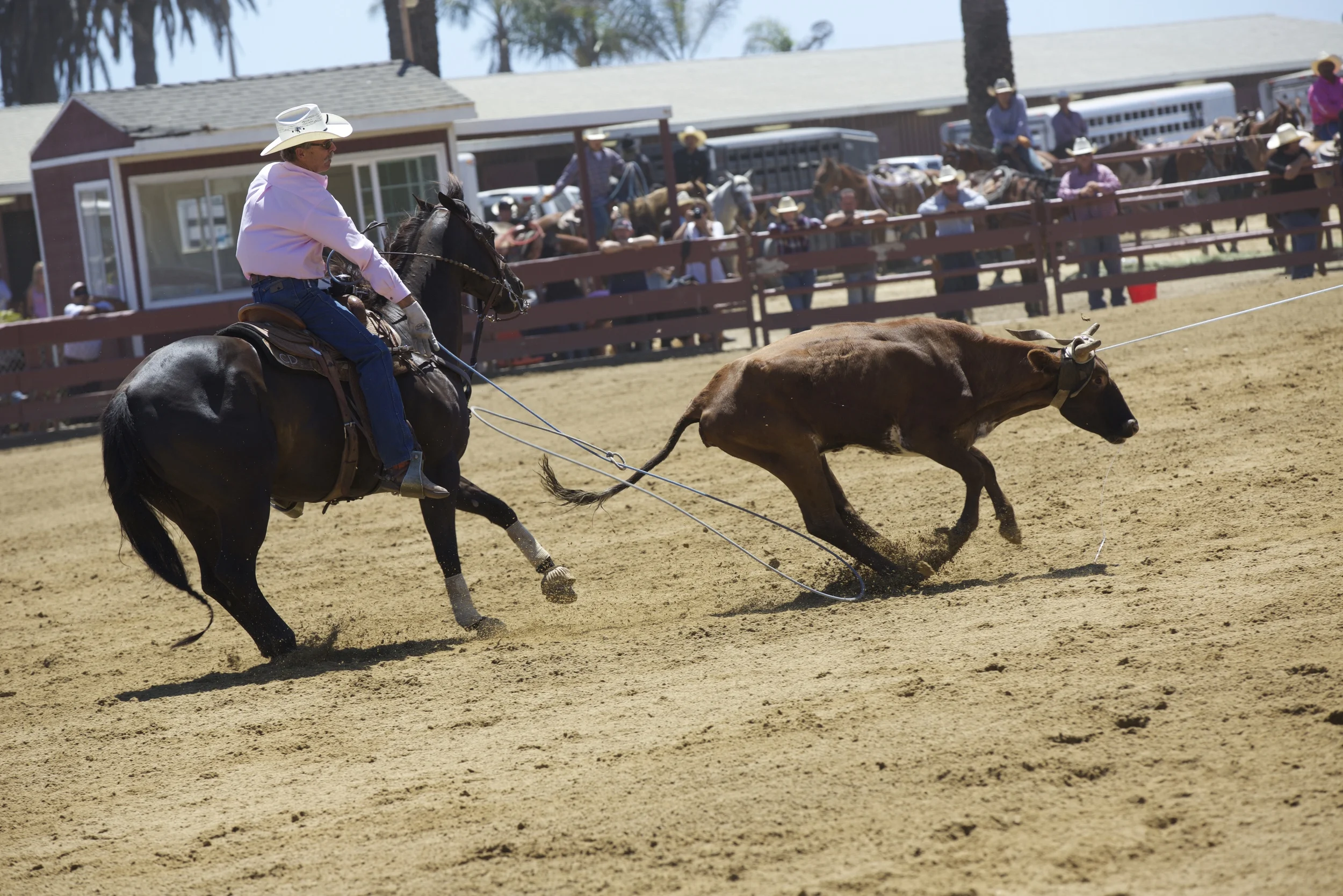 3M6B3232.jpg