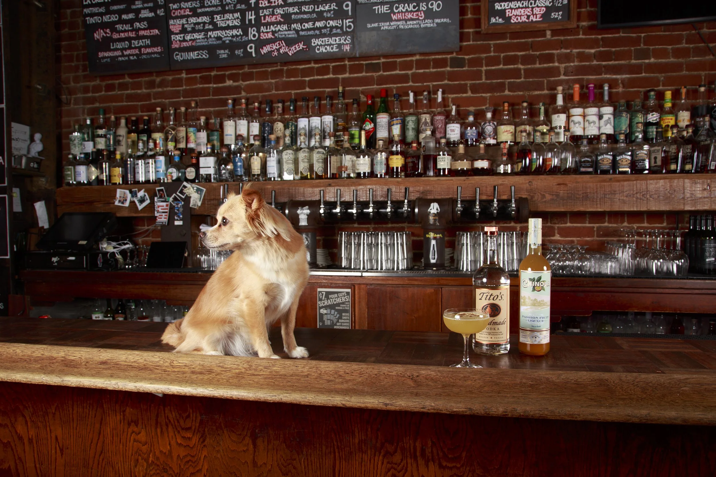 Dog Calendar_Eevee-3532.jpg