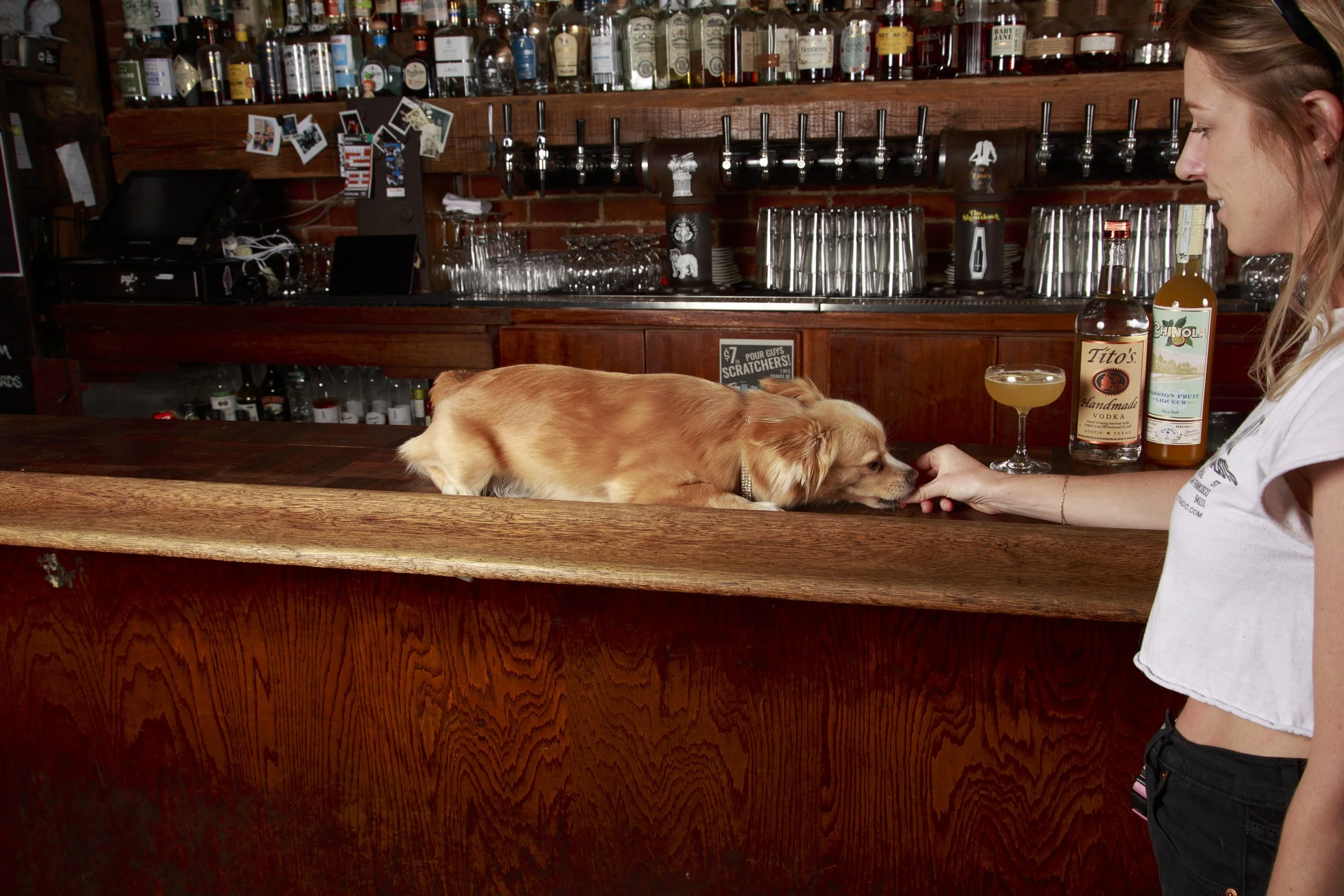 Dog Calendar_Eevee-3524.jpg