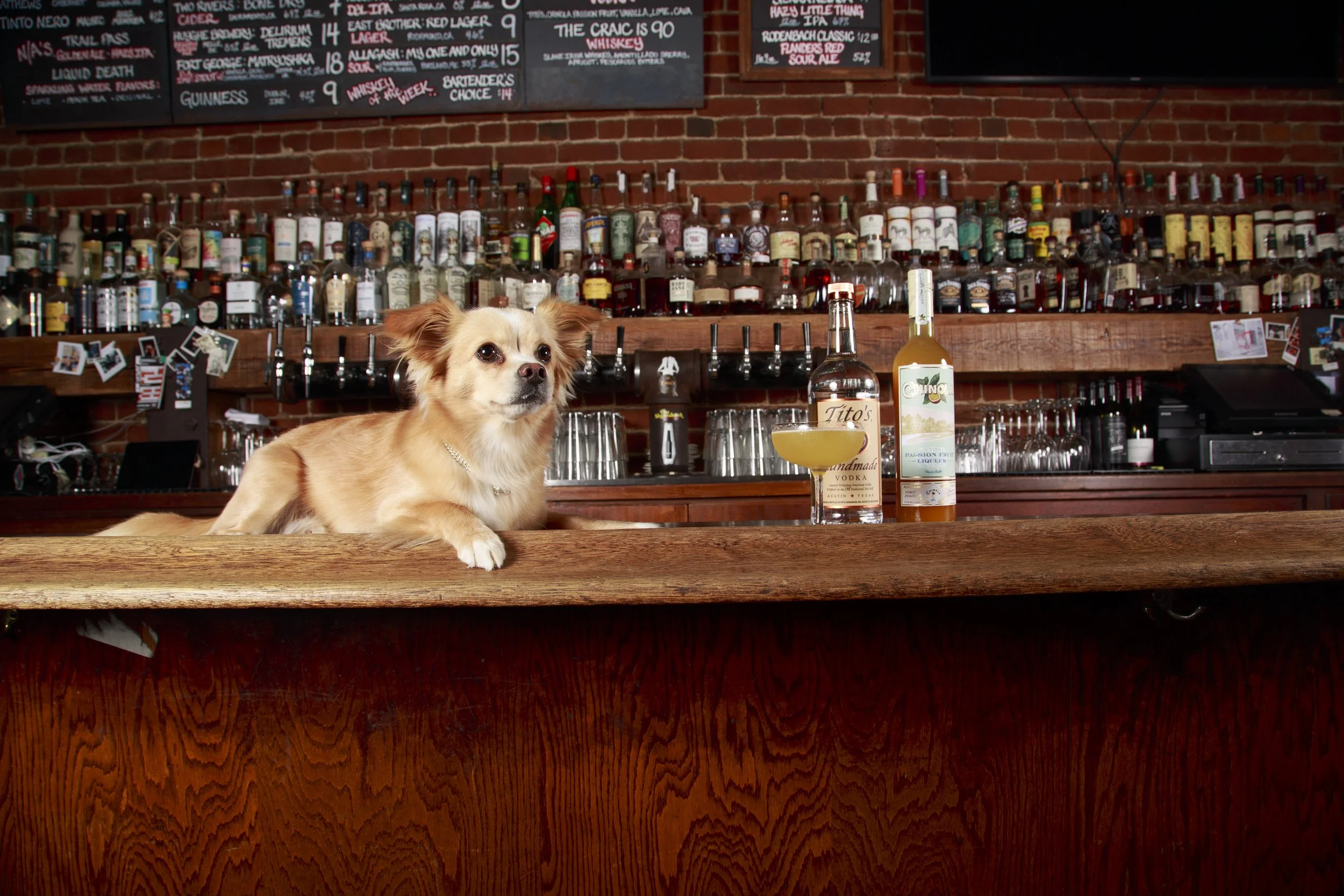 Dog Calendar_Eevee-3538.jpg