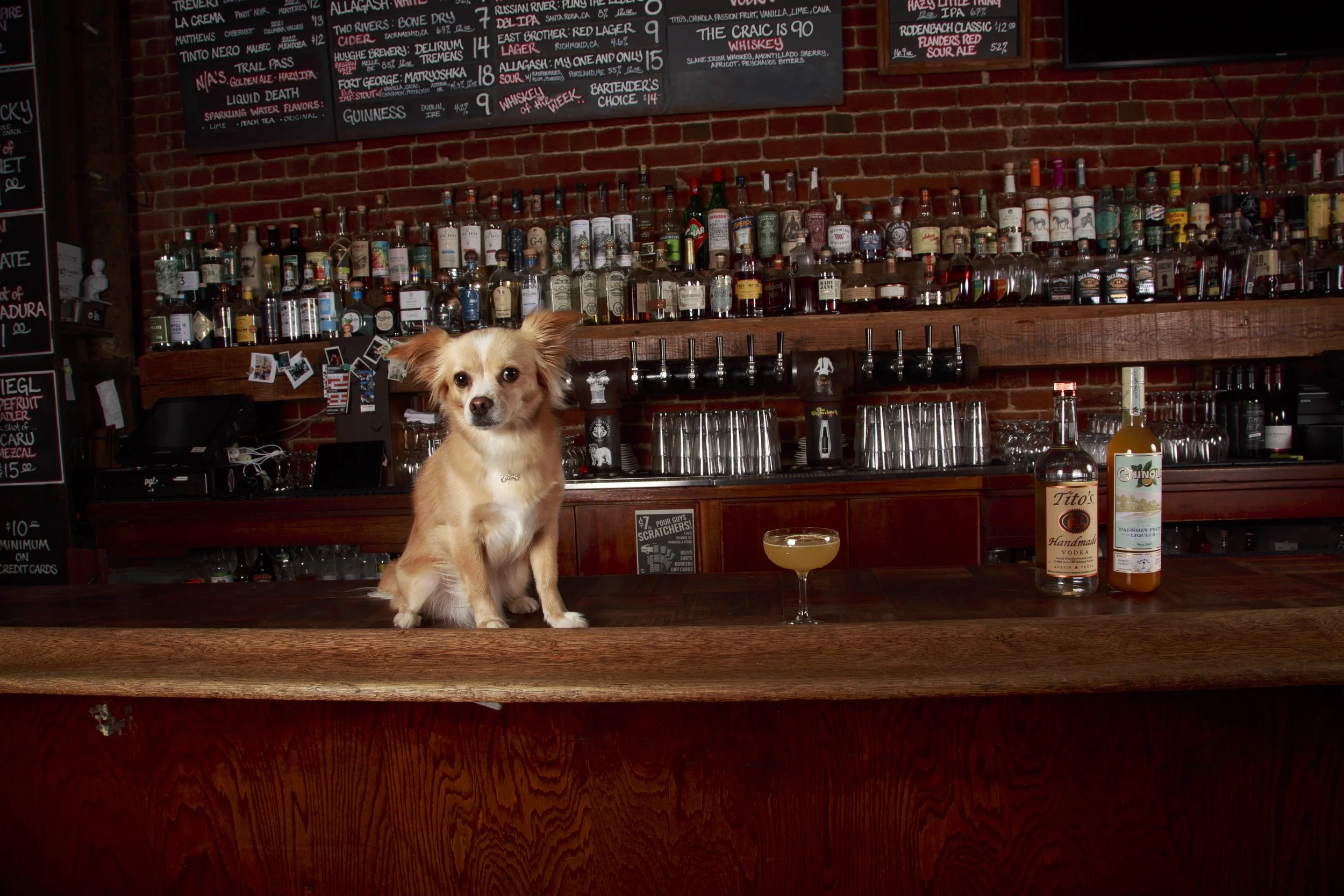 Dog Calendar_Eevee-3551.jpg