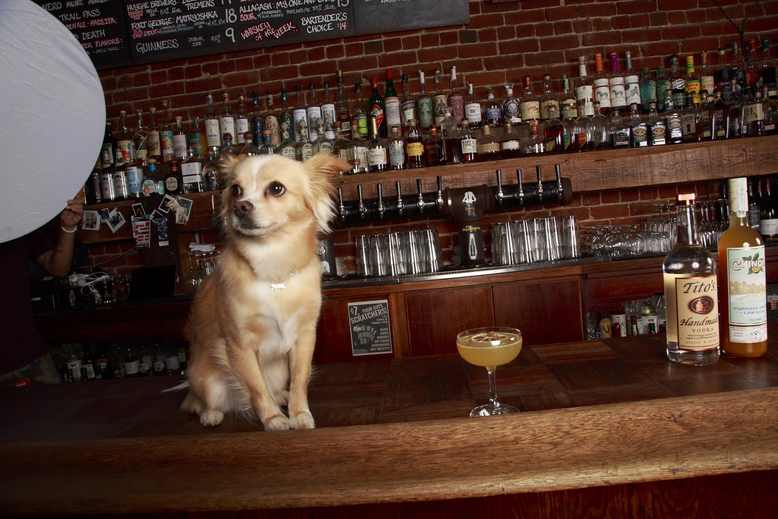 Dog Calendar_Eevee-3547.jpg