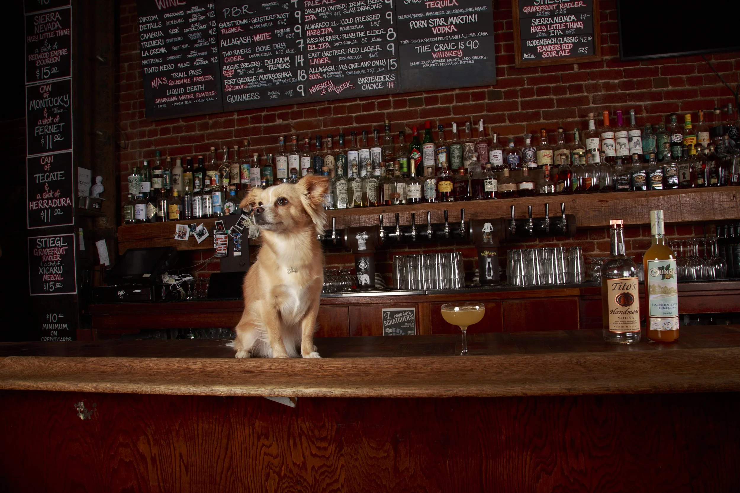 Dog Calendar_Eevee-3552.jpg