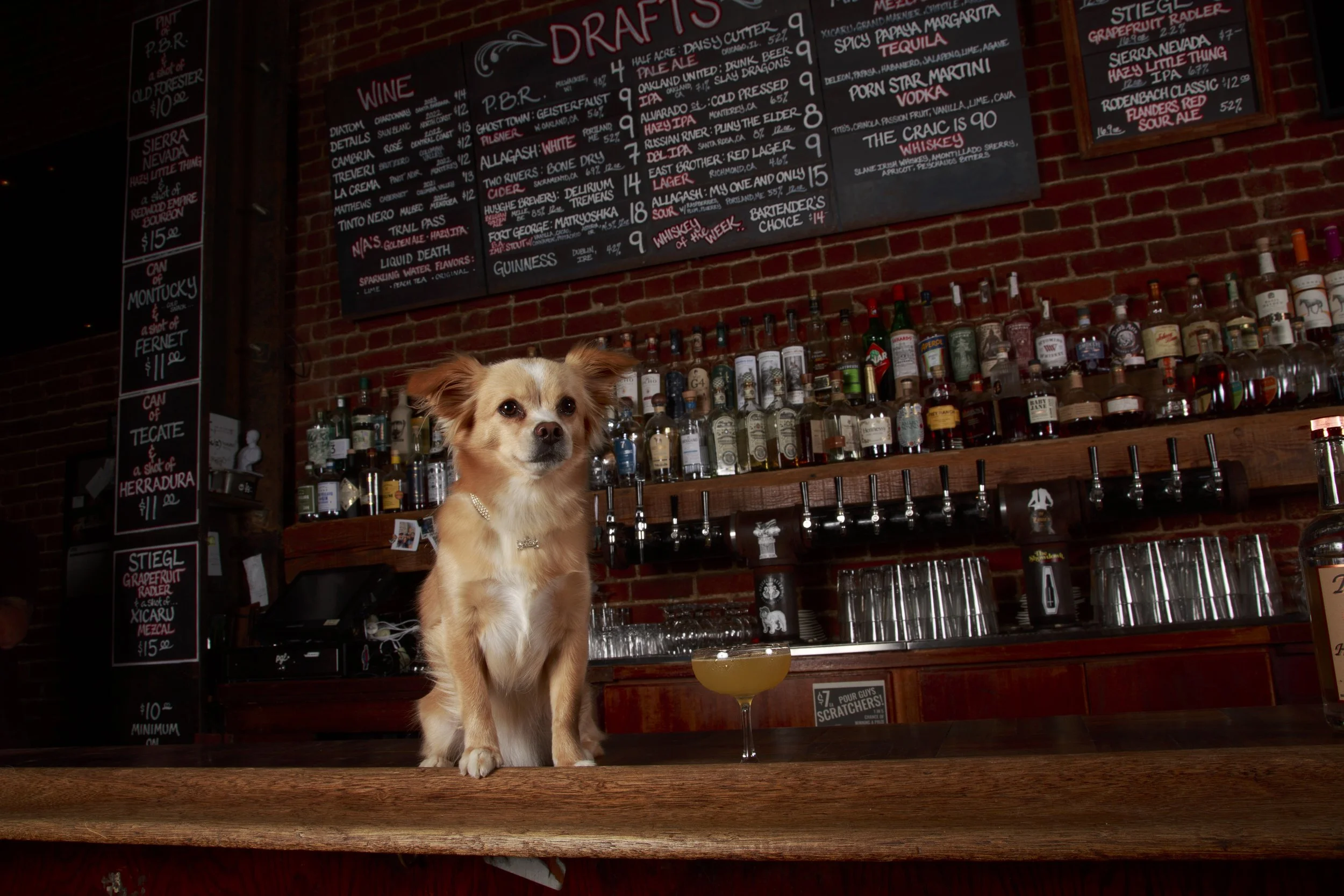 Dog Calendar_Eevee-3561.jpg