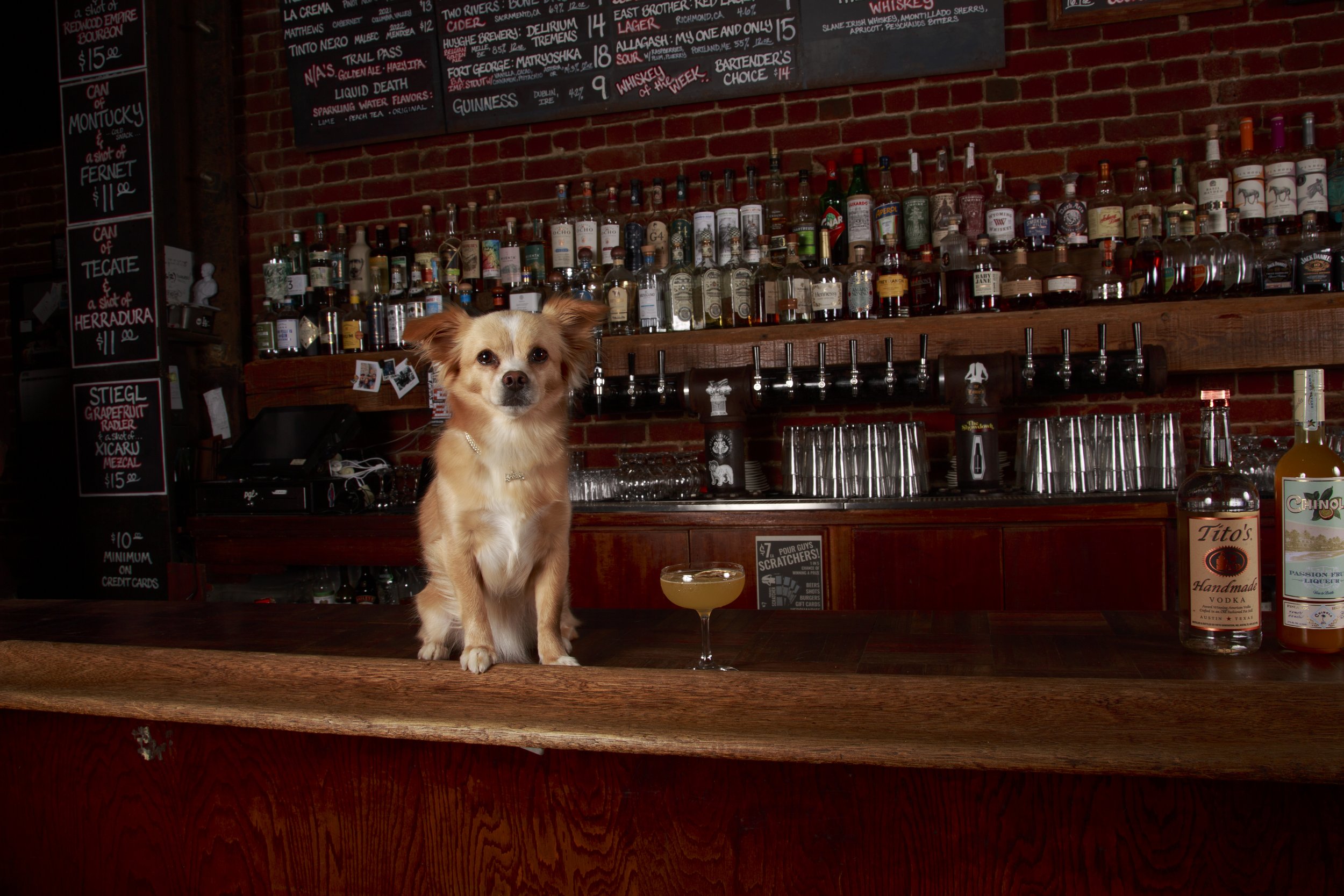 Dog Calendar_Eevee-3562.jpg