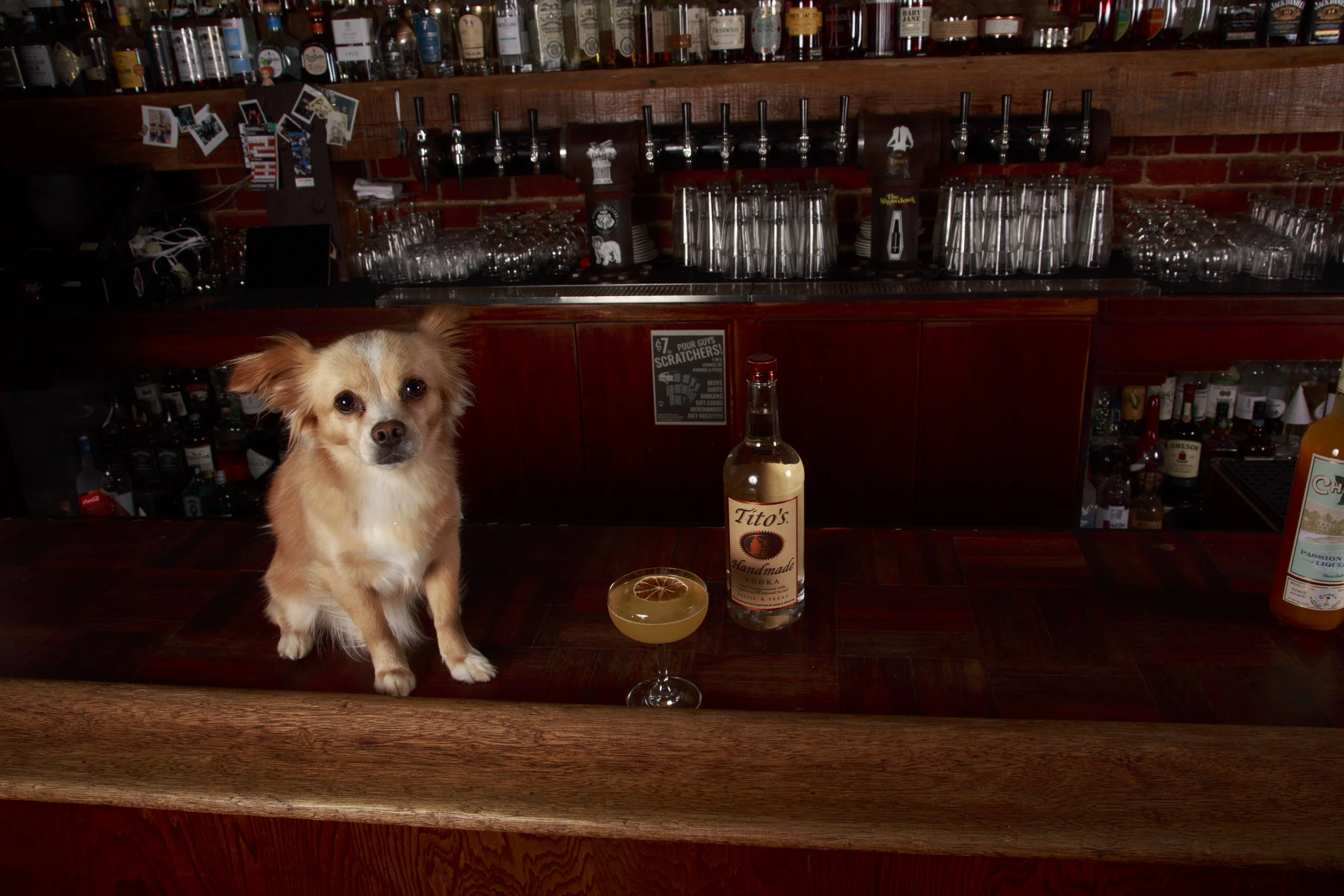 Dog Calendar_Eevee-3568.jpg