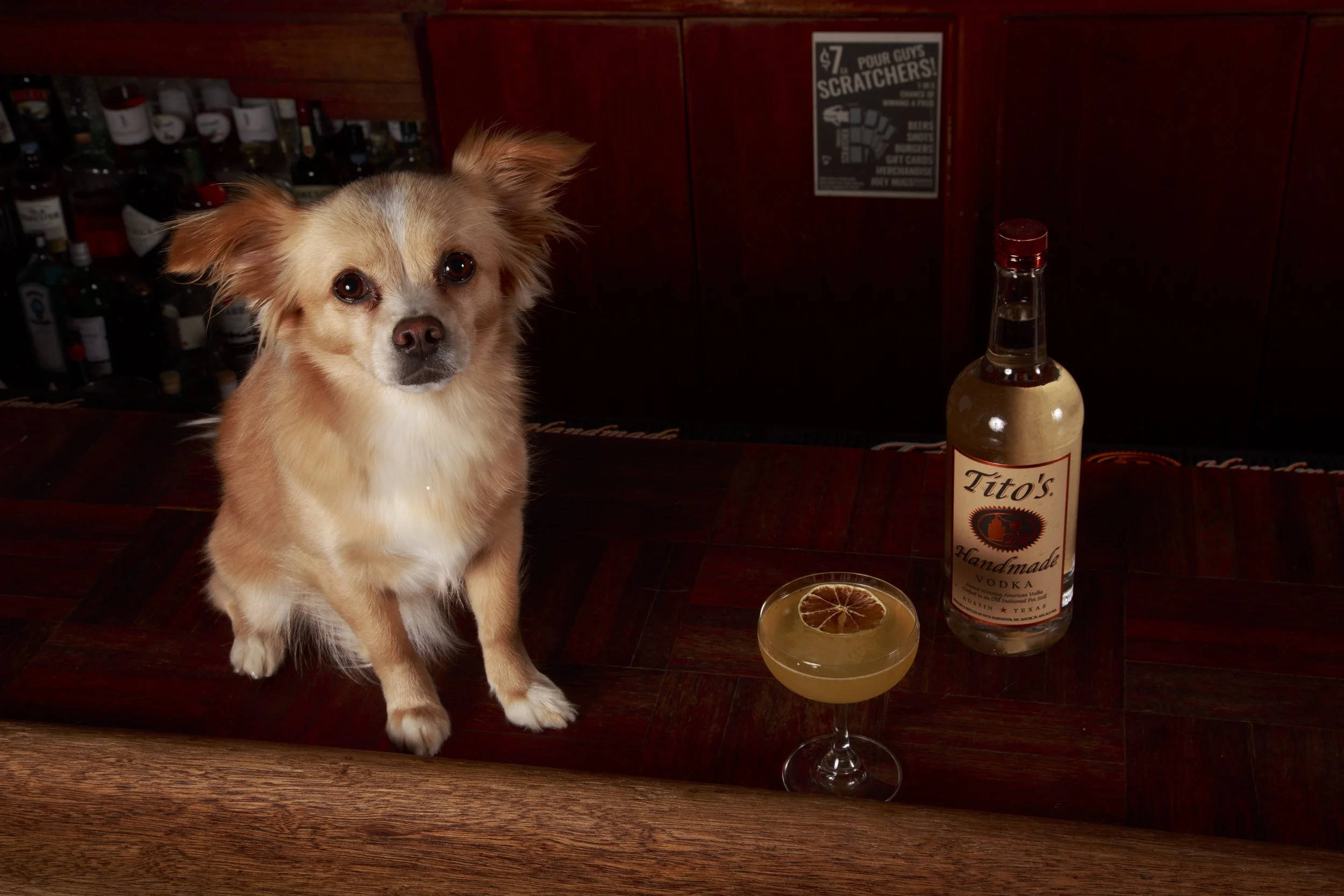 Dog Calendar_Eevee-3570.jpg