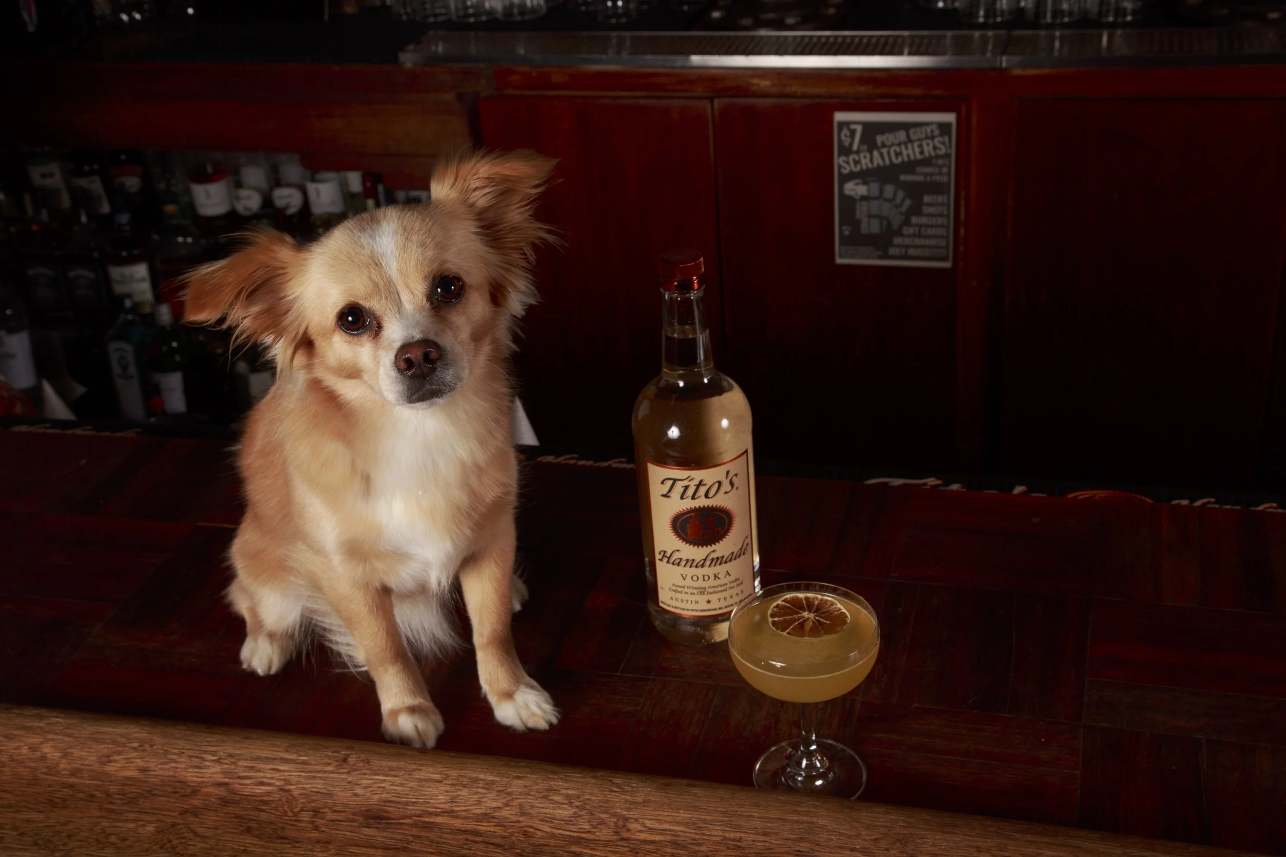 Dog Calendar_Eevee-3571.jpg