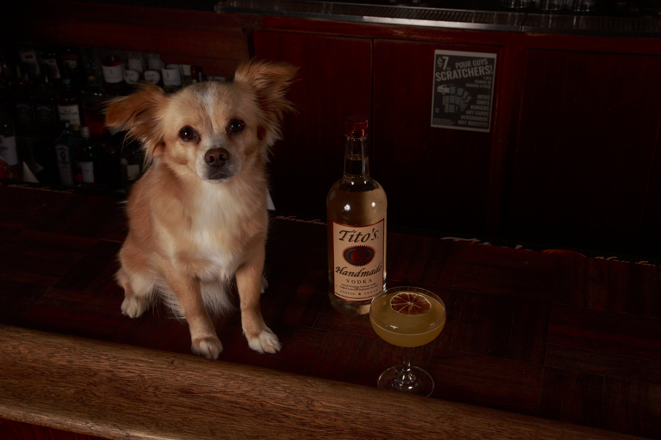 Dog Calendar_Eevee-3572.jpg