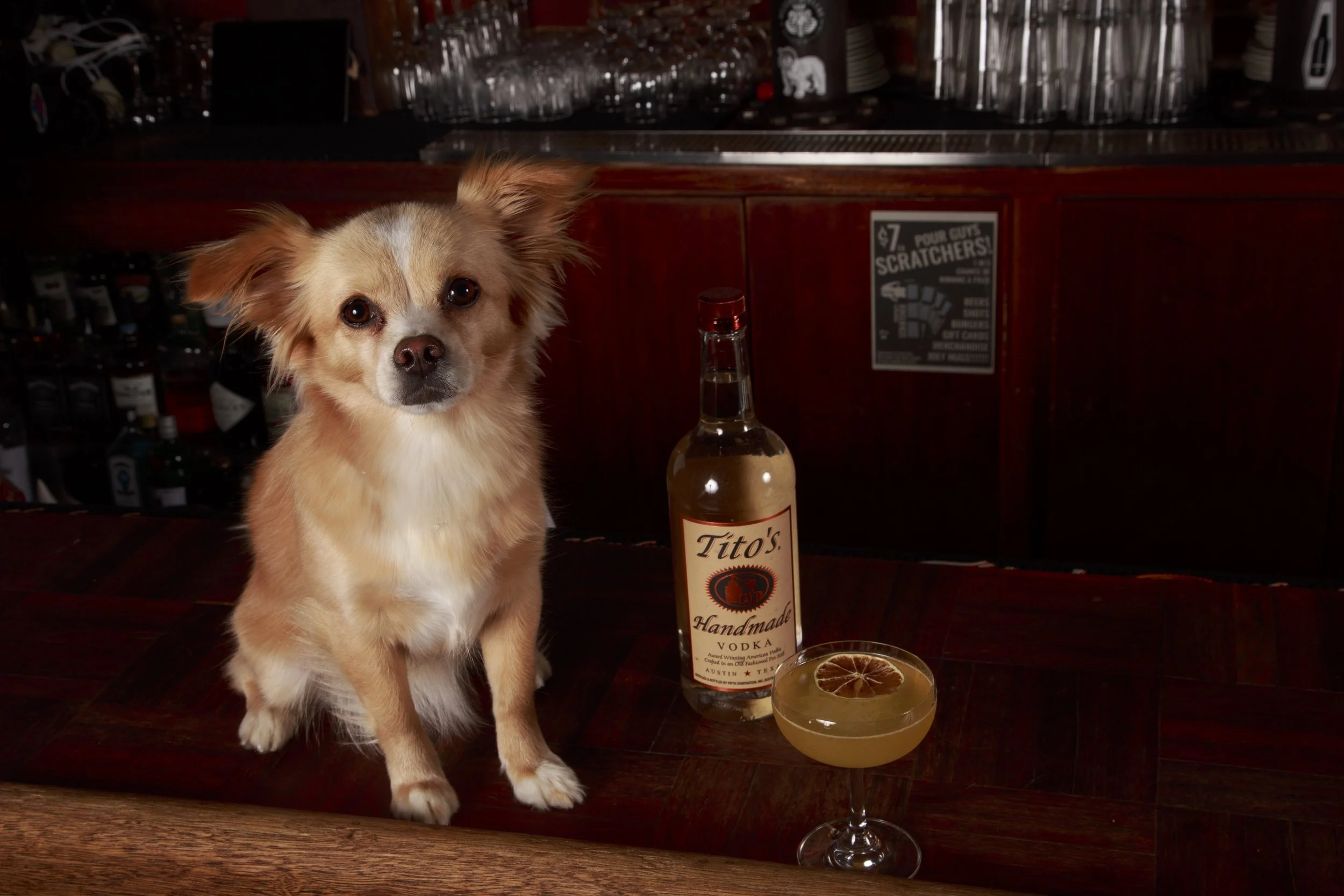 Dog Calendar_Eevee-3573.jpg