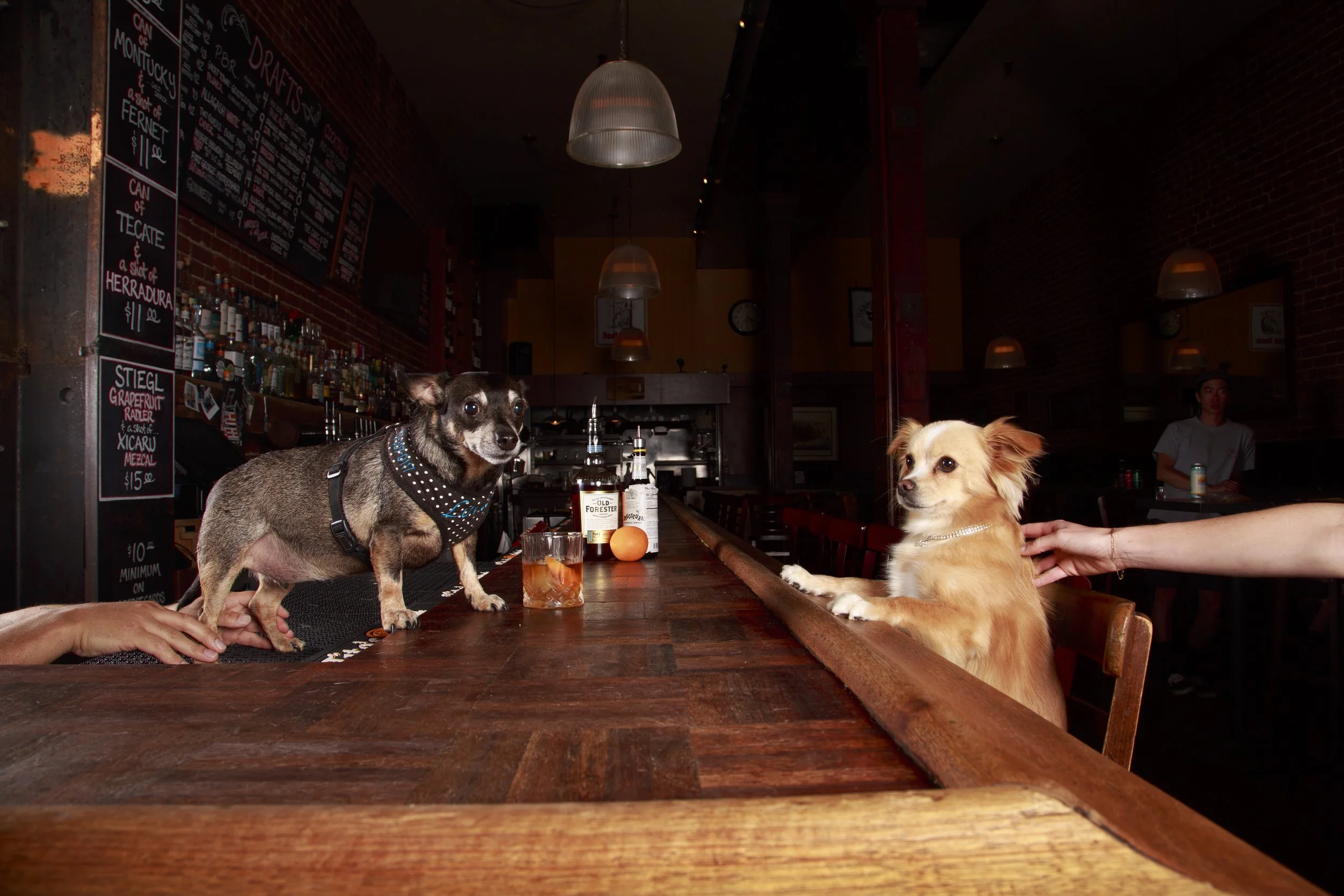 Dog Calendar_Eevee-3598.jpg