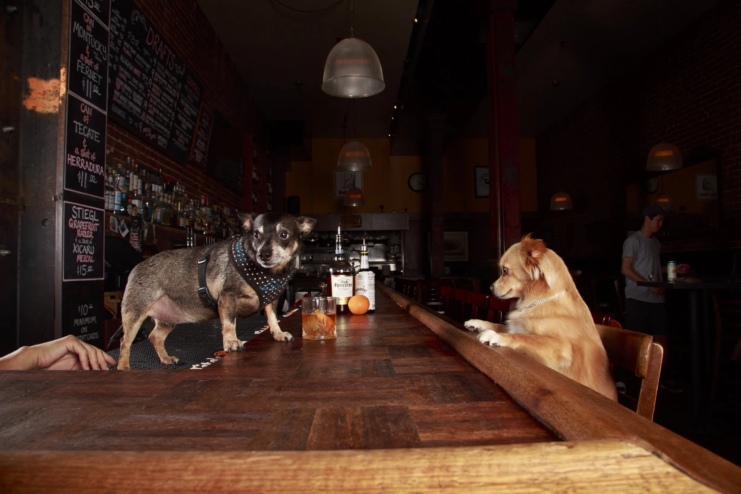 Dog Calendar_Eevee-3599.jpg