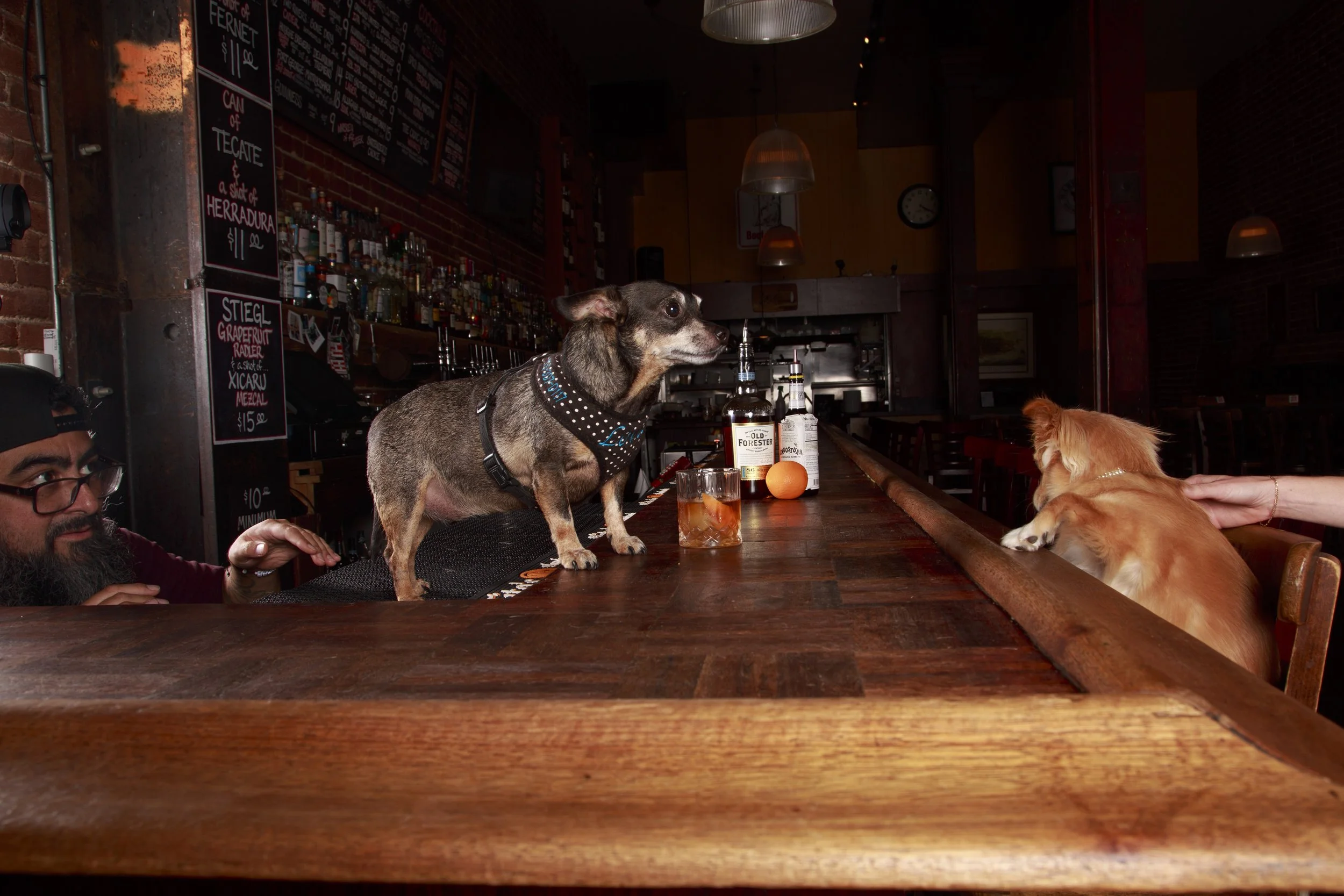 Dog Calendar_Eevee-3600.jpg