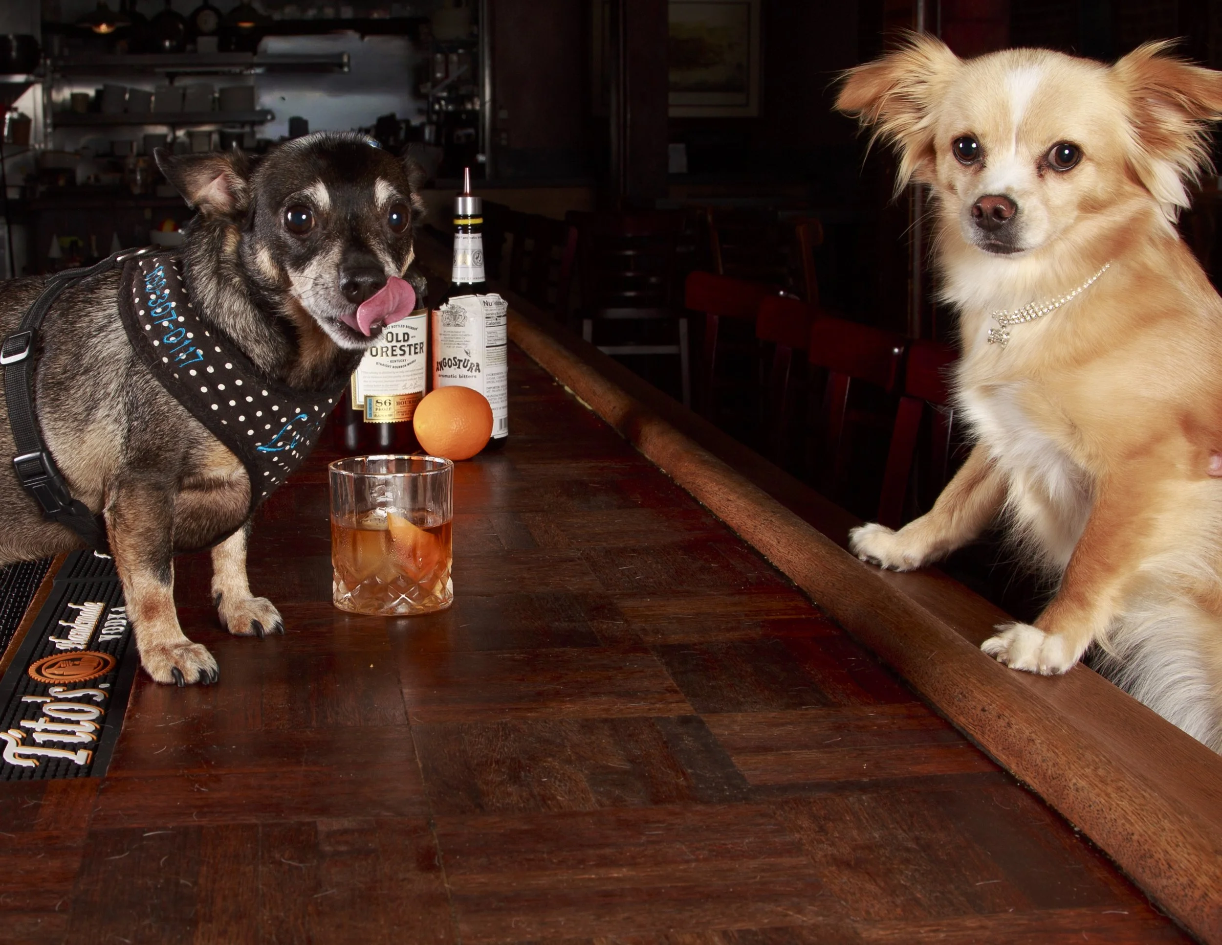 Dog Calendar_Eevee-3601.jpg