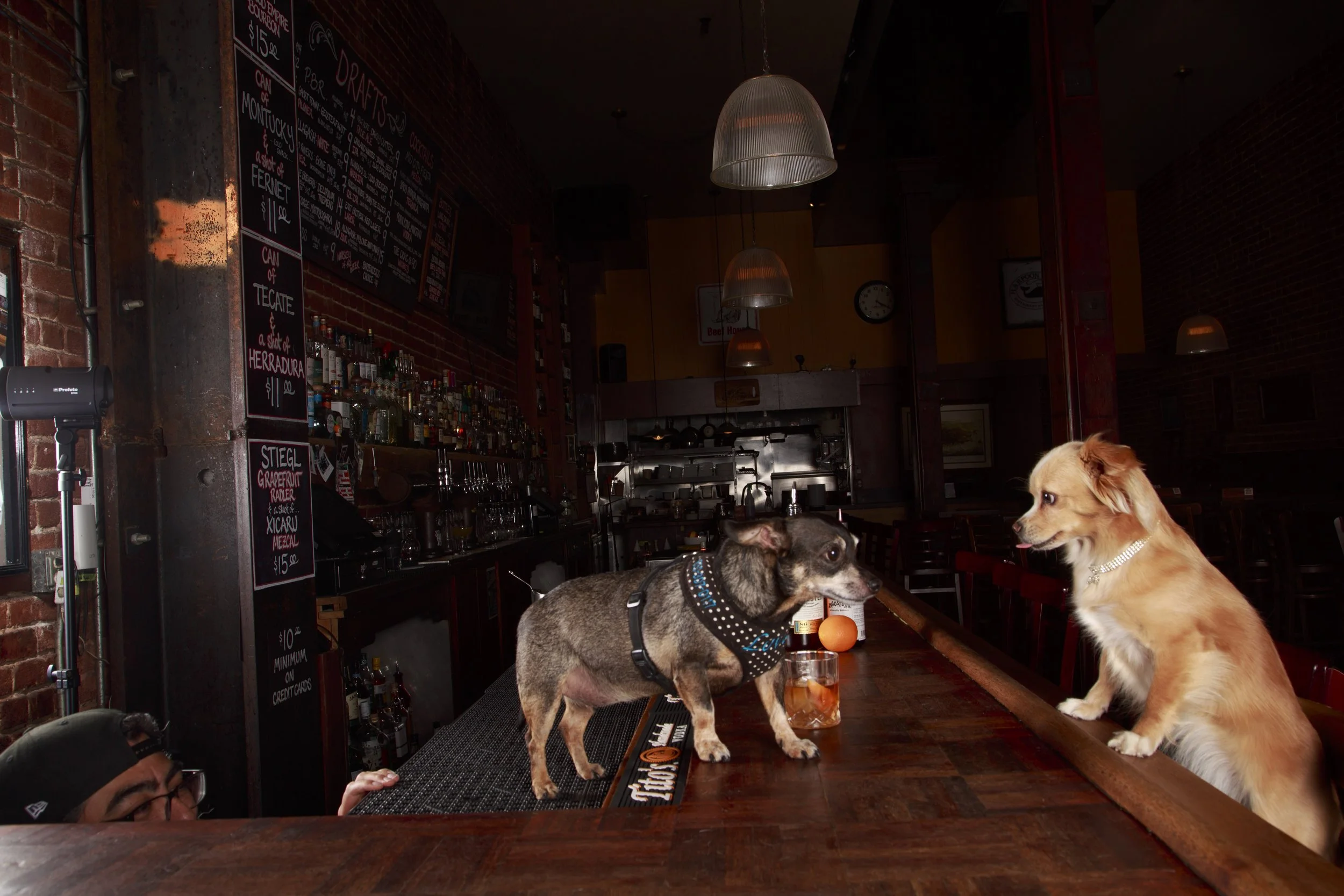 Dog Calendar_Eevee-3603.jpg