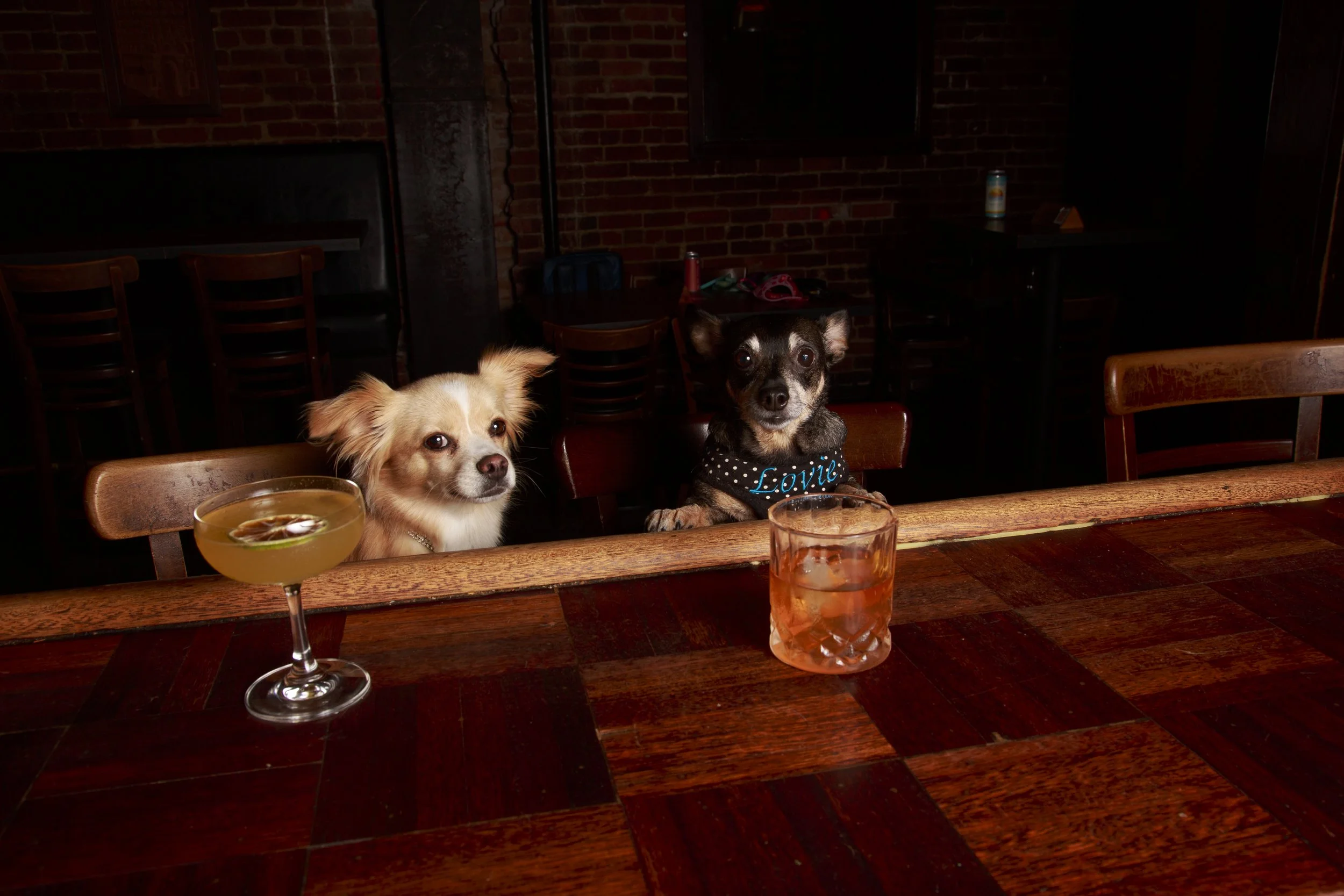 Dog Calendar_Eevee-3627.jpg