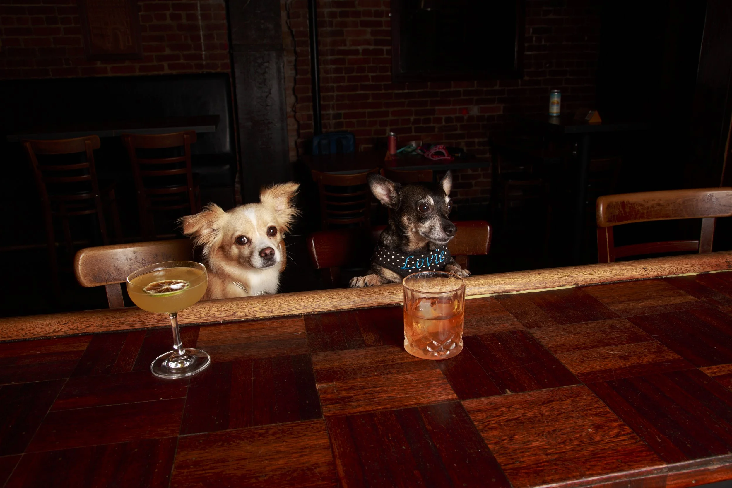 Dog Calendar_Eevee-3628.jpg