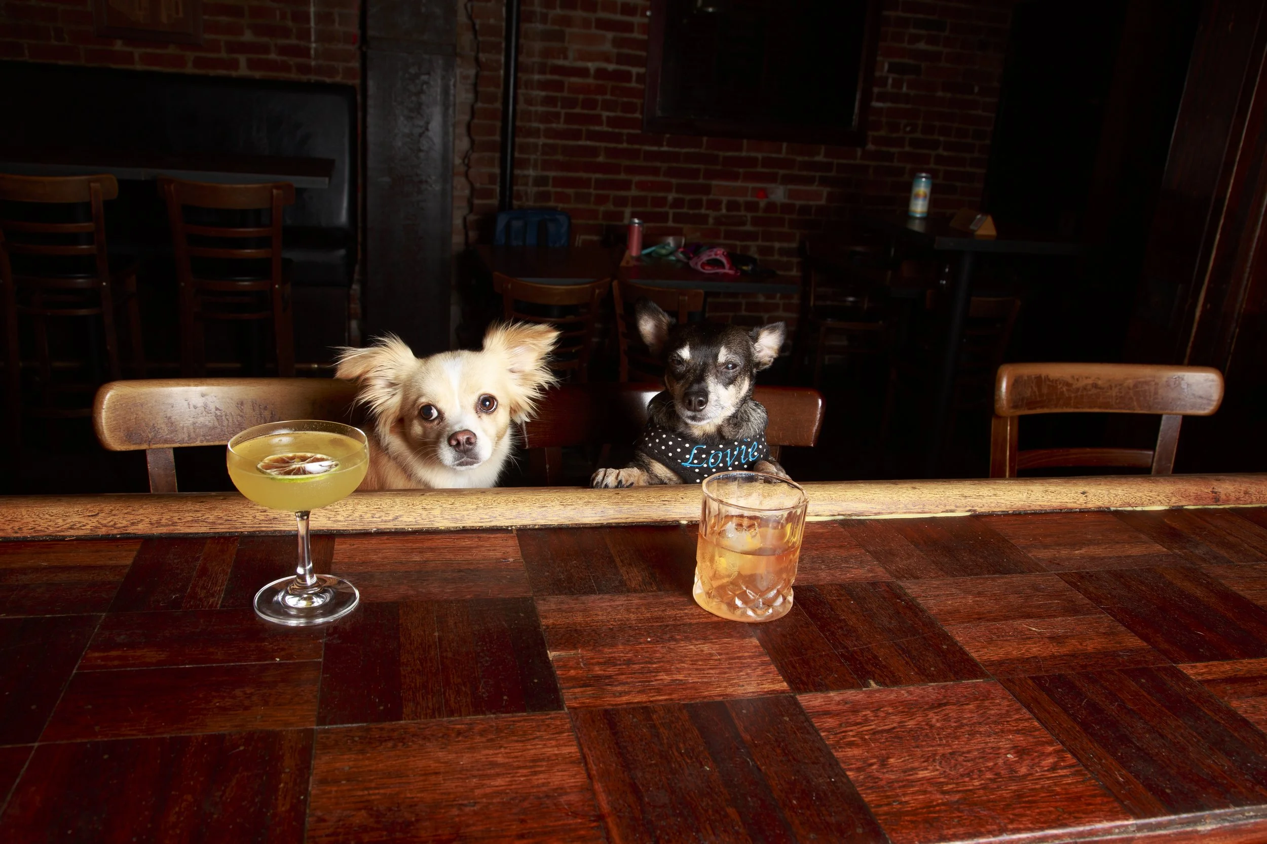 Dog Calendar_Eevee-3633.jpg