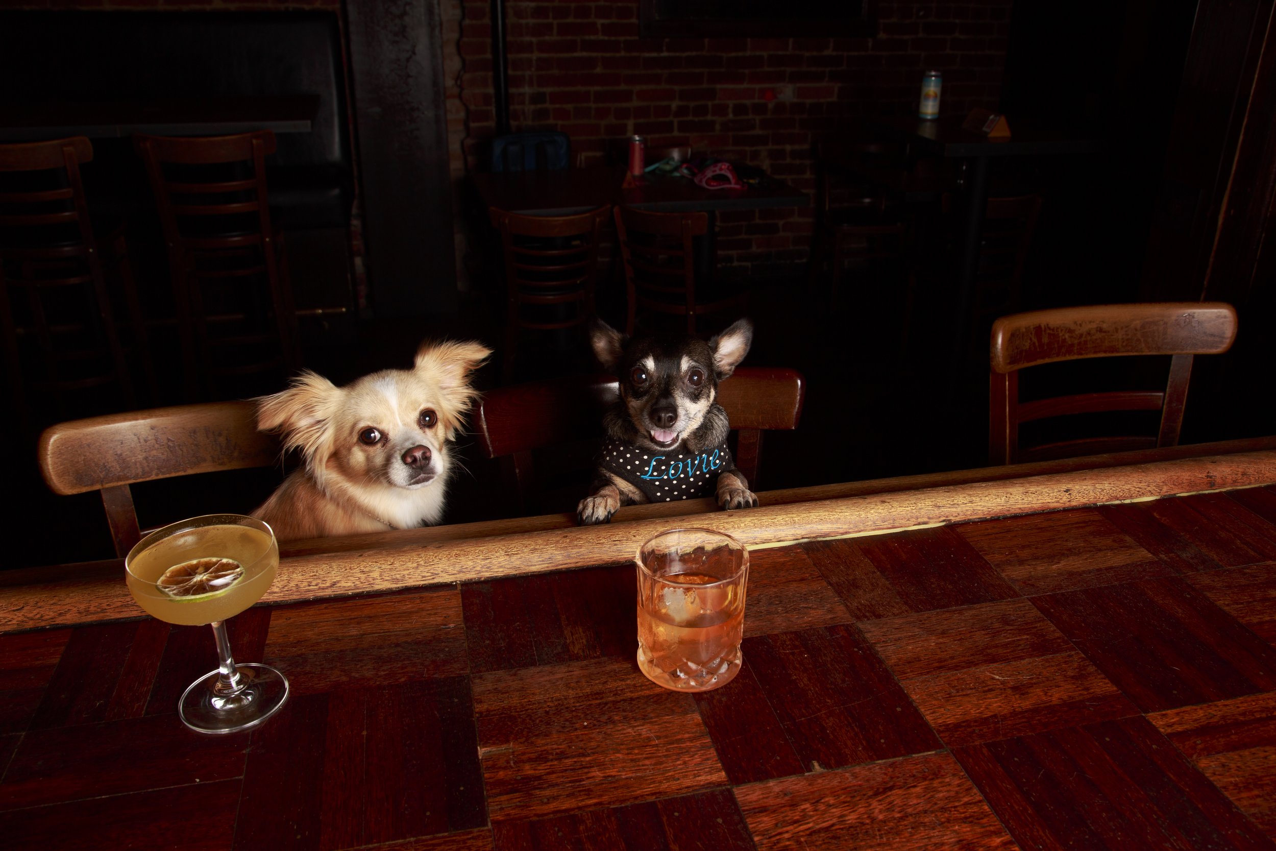 Dog Calendar_Eevee-3637.jpg