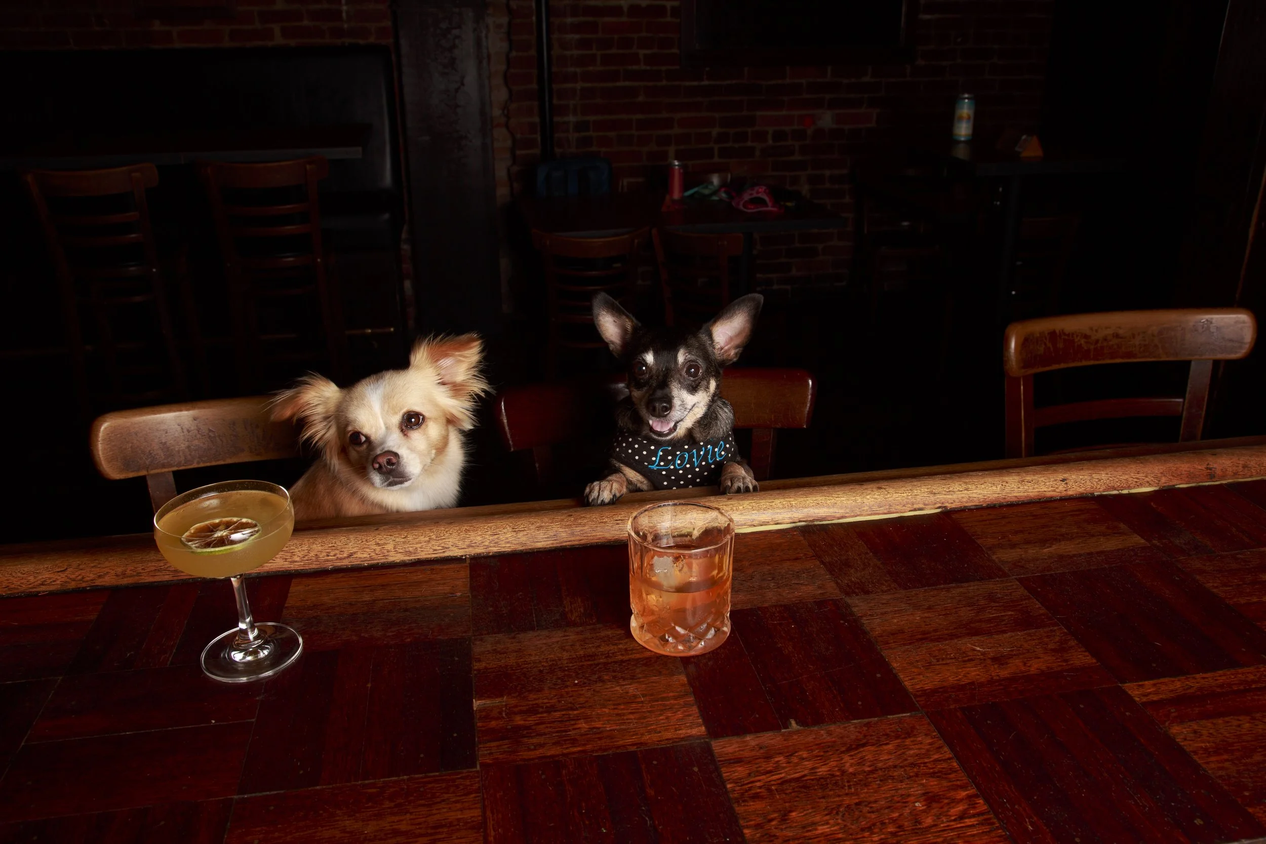 Dog Calendar_Eevee-3638.jpg