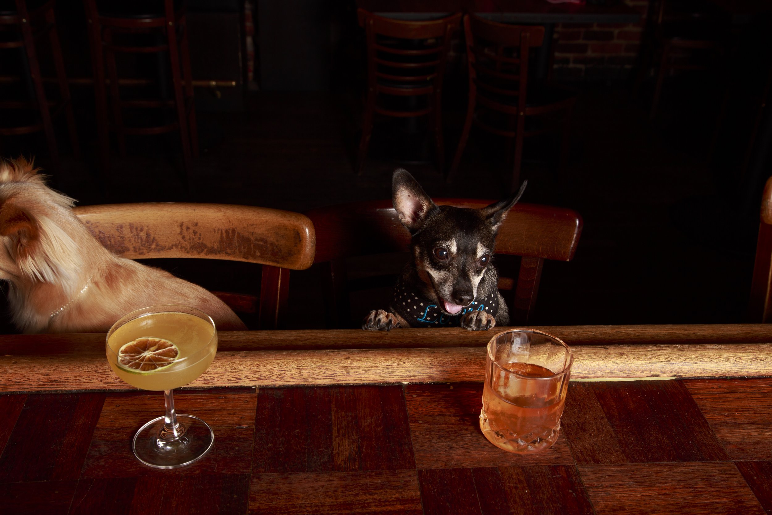 Dog Calendar_Eevee-3640.jpg