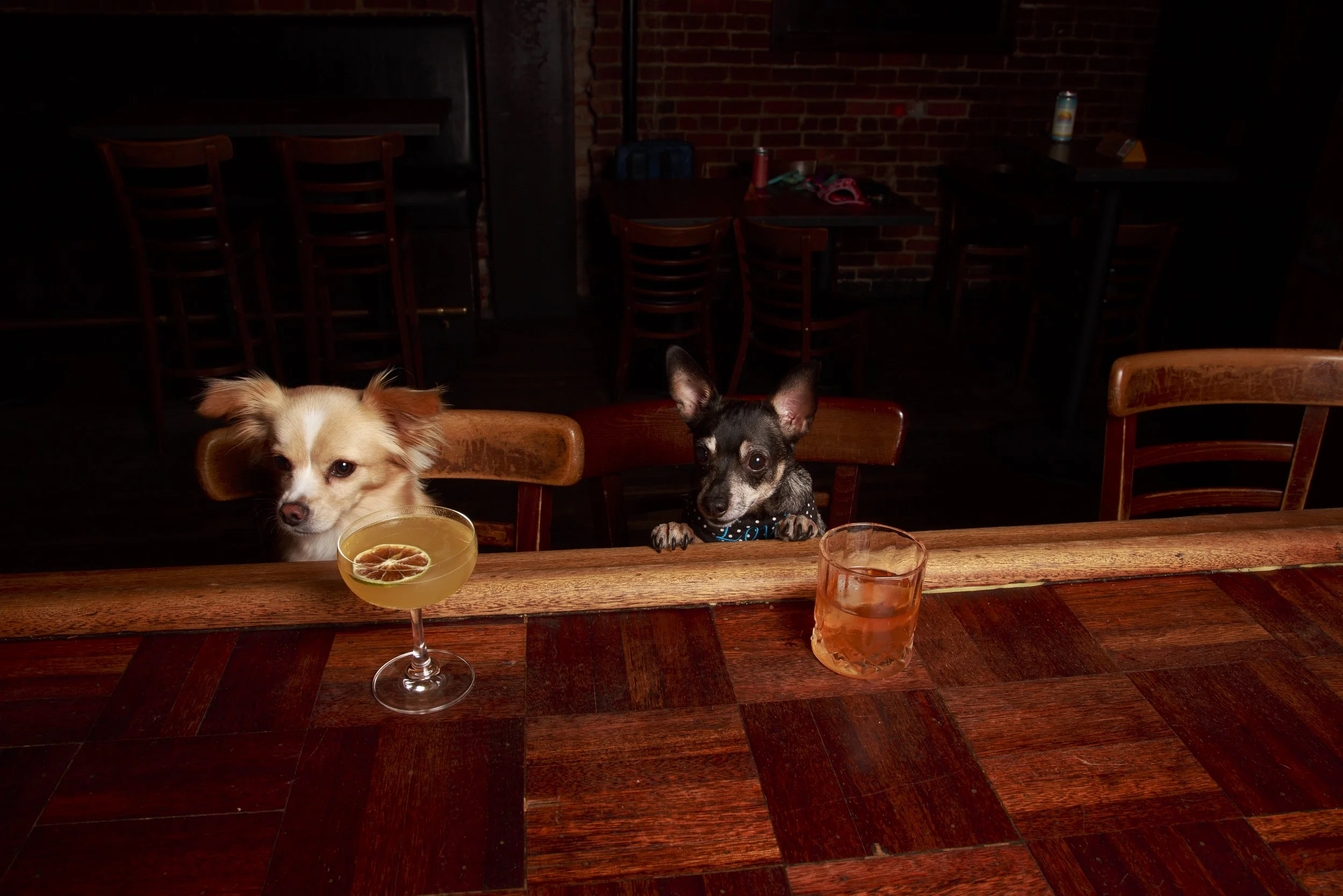 Dog Calendar_Eevee-3642.jpg