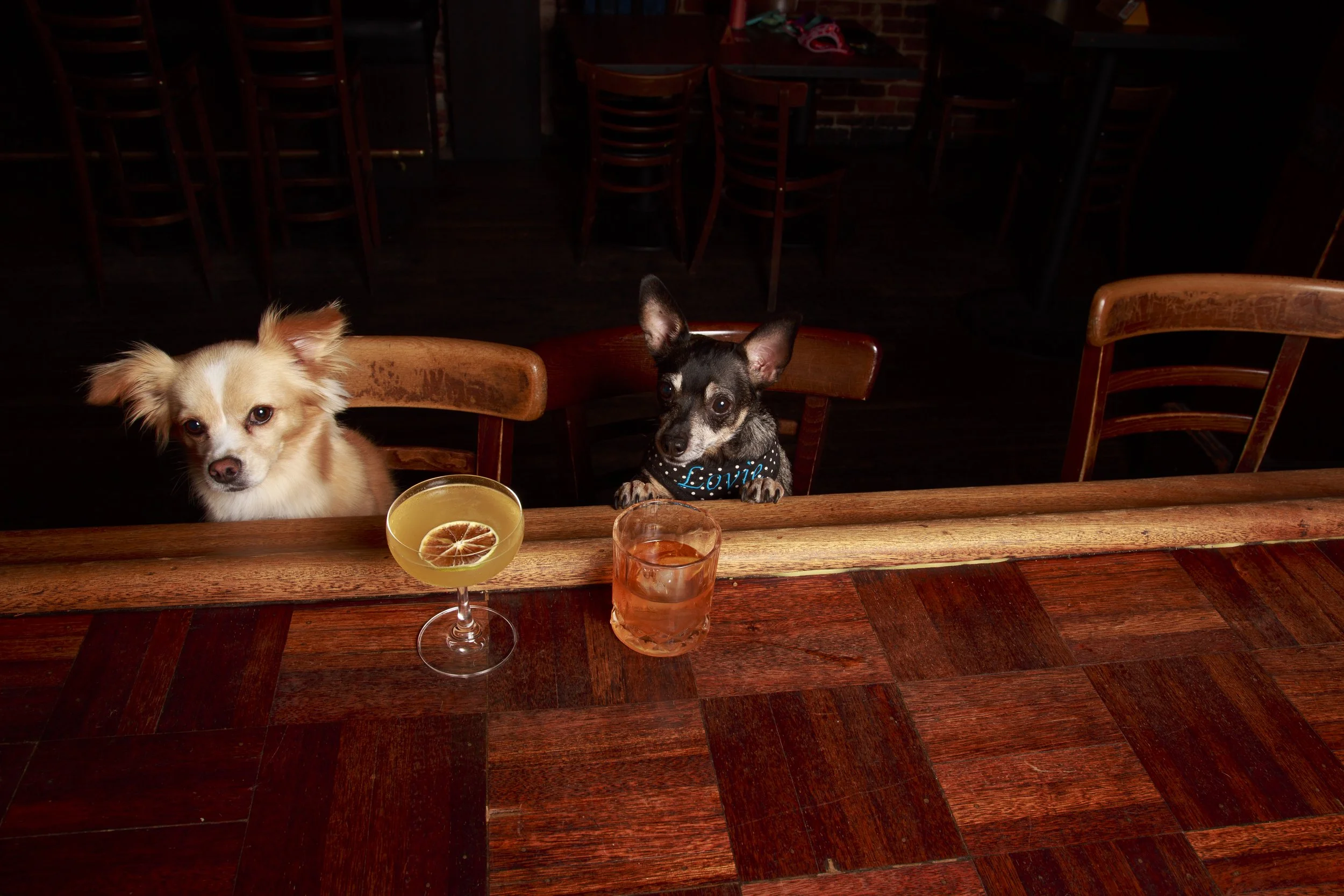 Dog Calendar_Eevee-3645.jpg