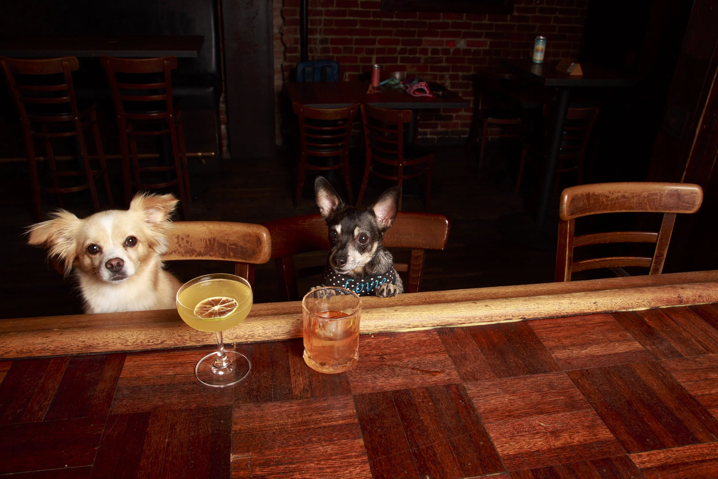 Dog Calendar_Eevee-3646.jpg