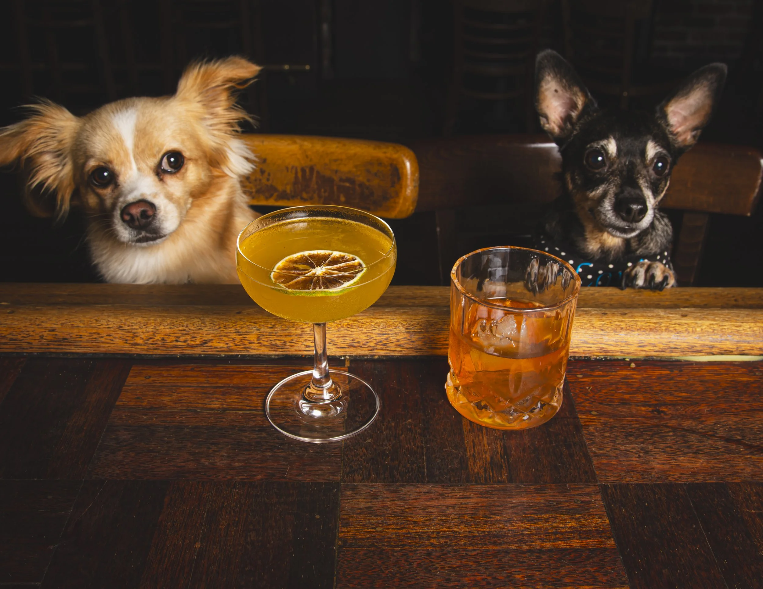 Dog Calendar_Eevee-3652-2.jpg