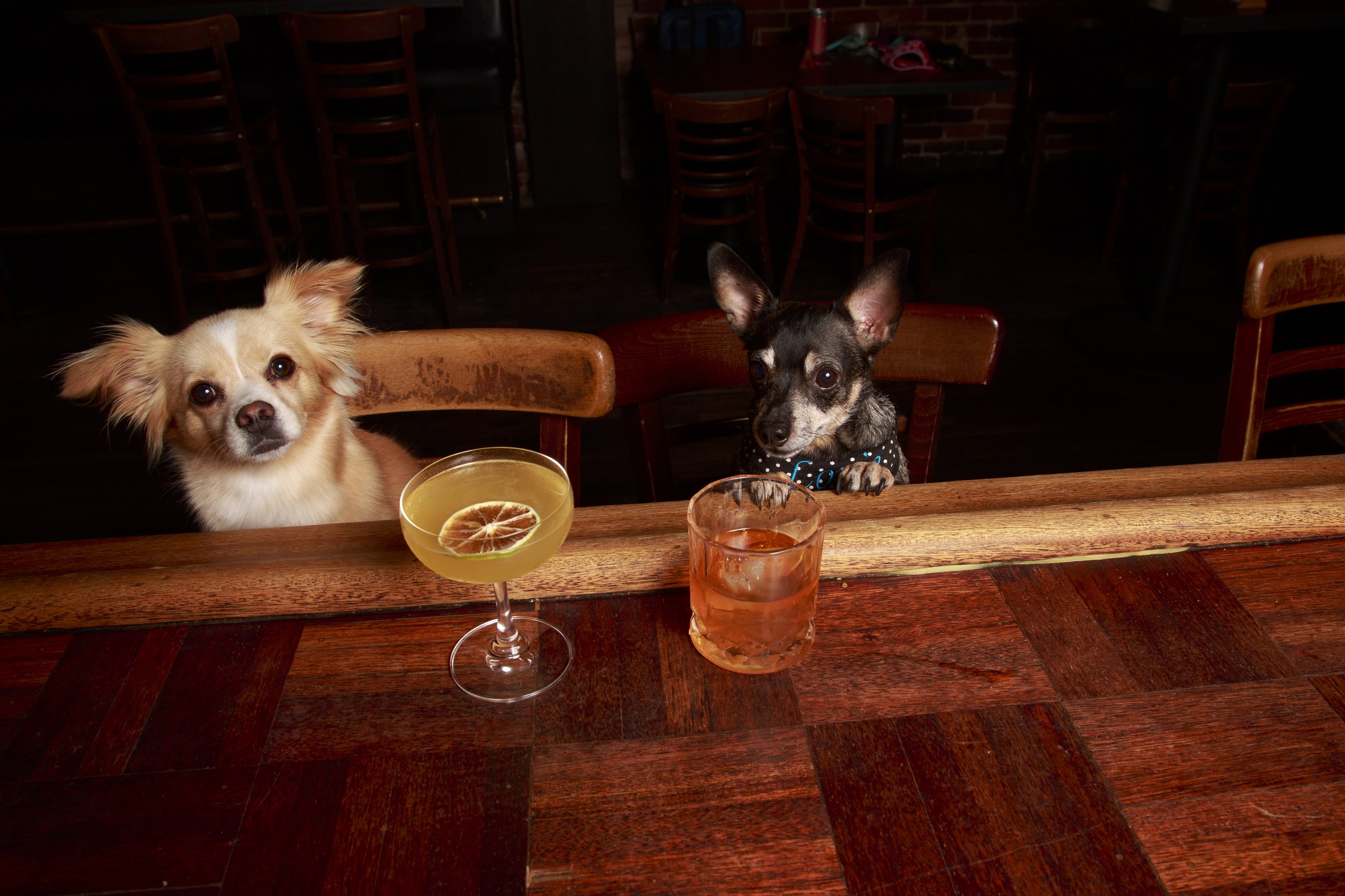 Dog Calendar_Eevee-3649.jpg