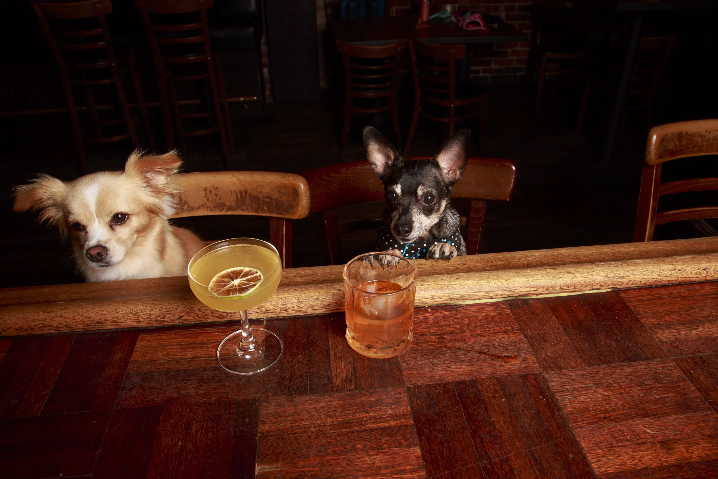 Dog Calendar_Eevee-3650.jpg