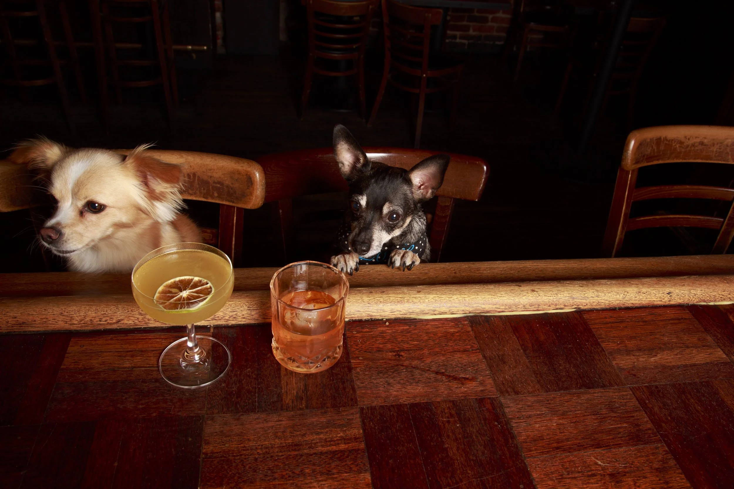 Dog Calendar_Eevee-3651.jpg