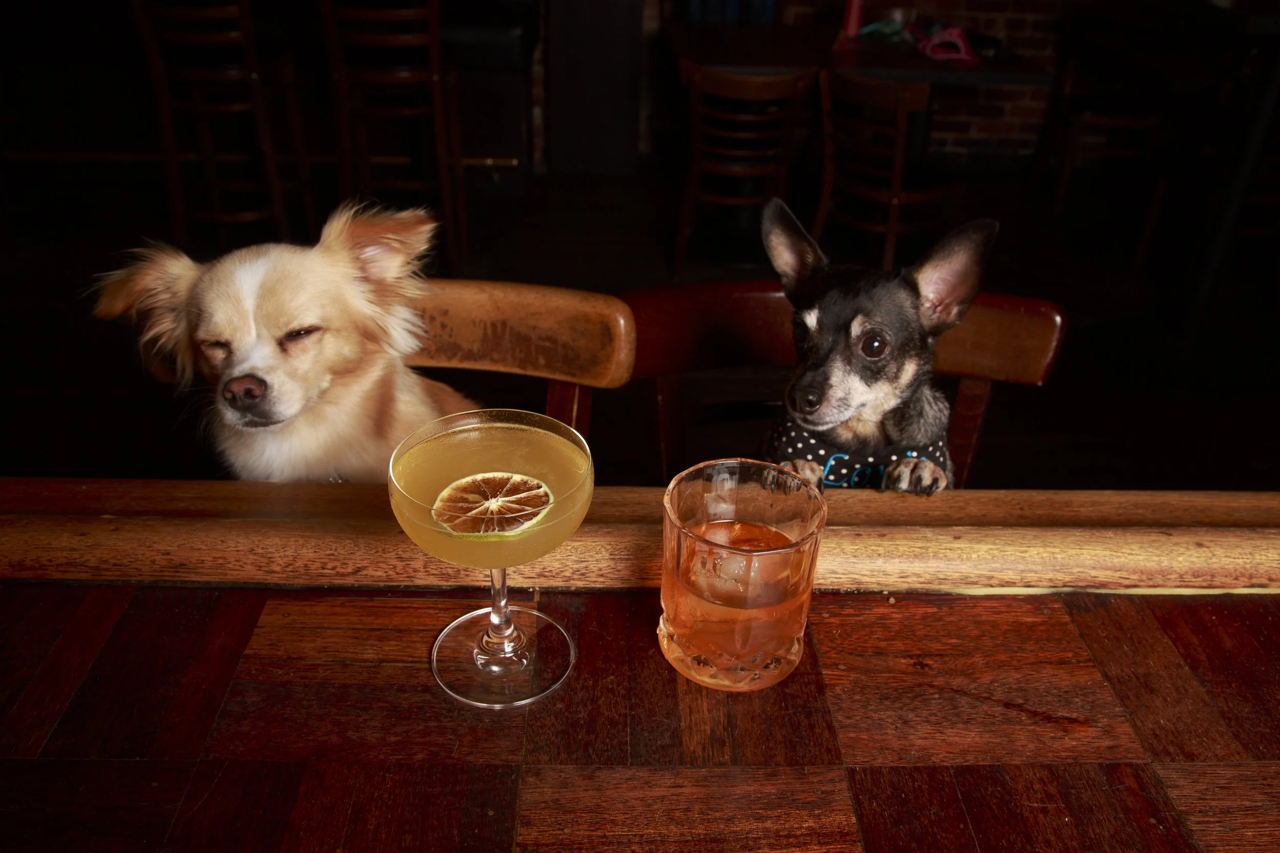 Dog Calendar_Eevee-3653.jpg