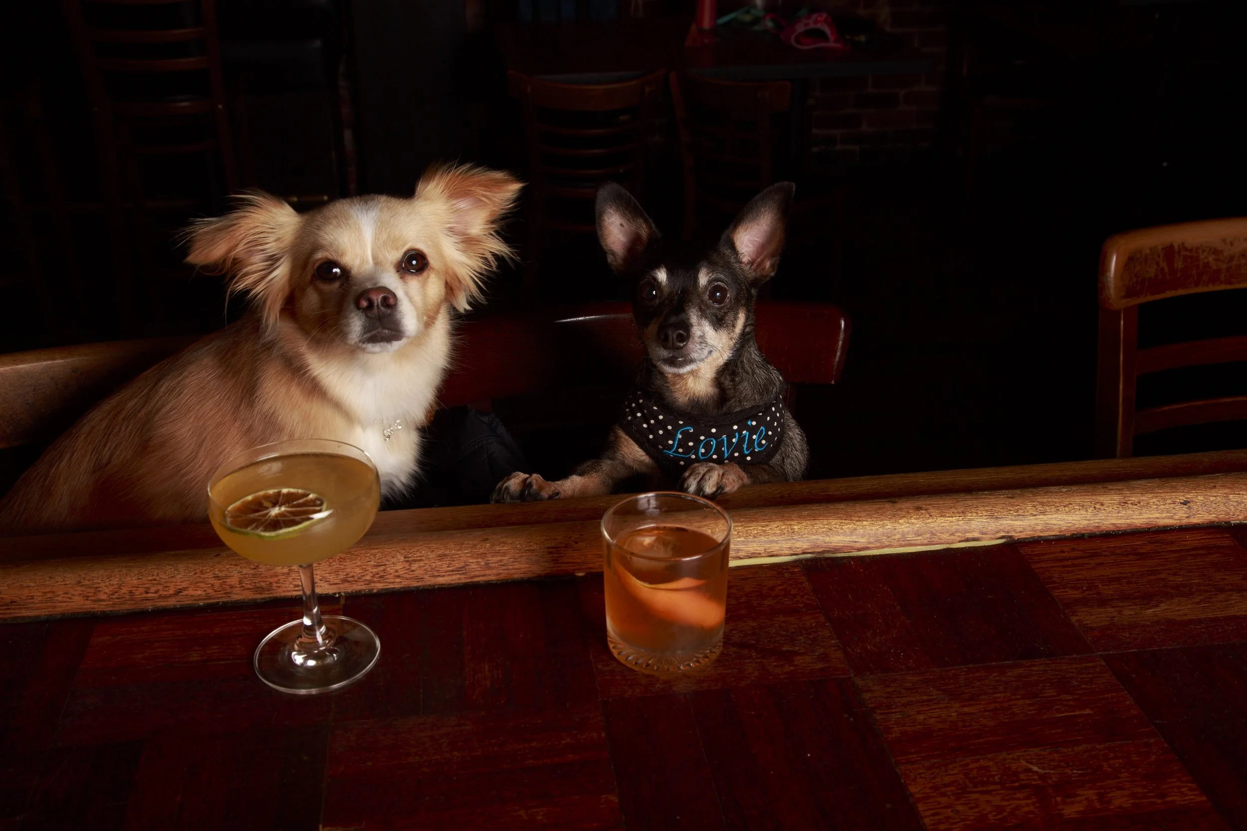 Dog Calendar_Eevee-3689.jpg