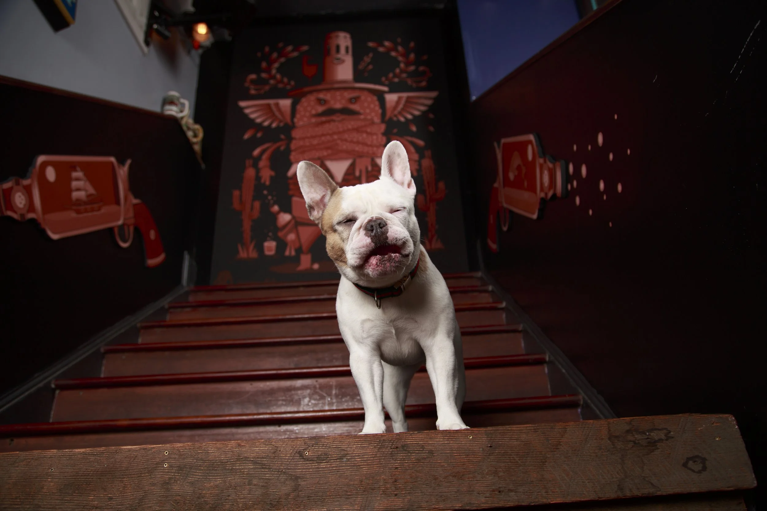 Dog Calendar_Laura_showdown-4489.jpg